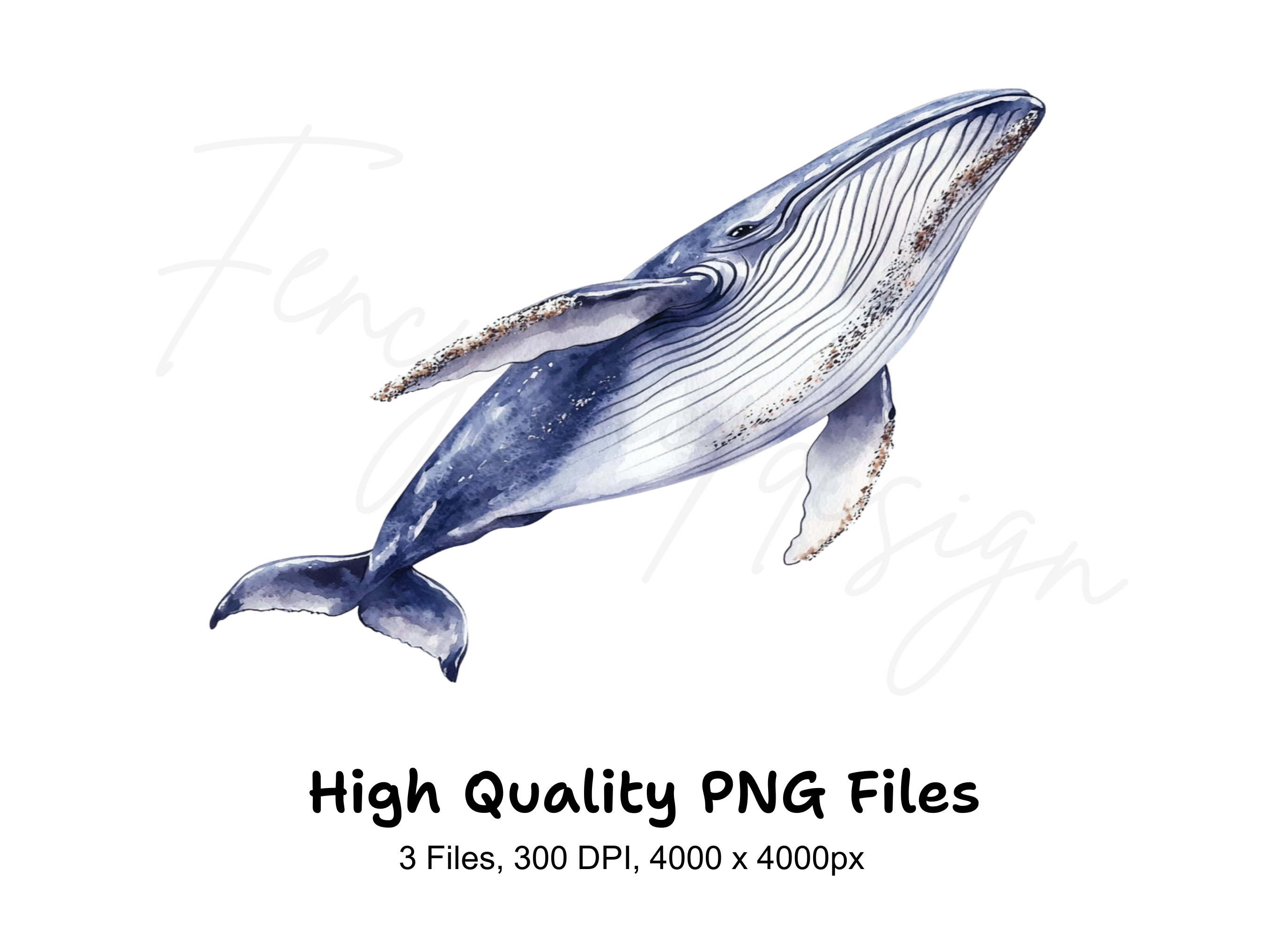 Humpback Whale Clipart Bundle