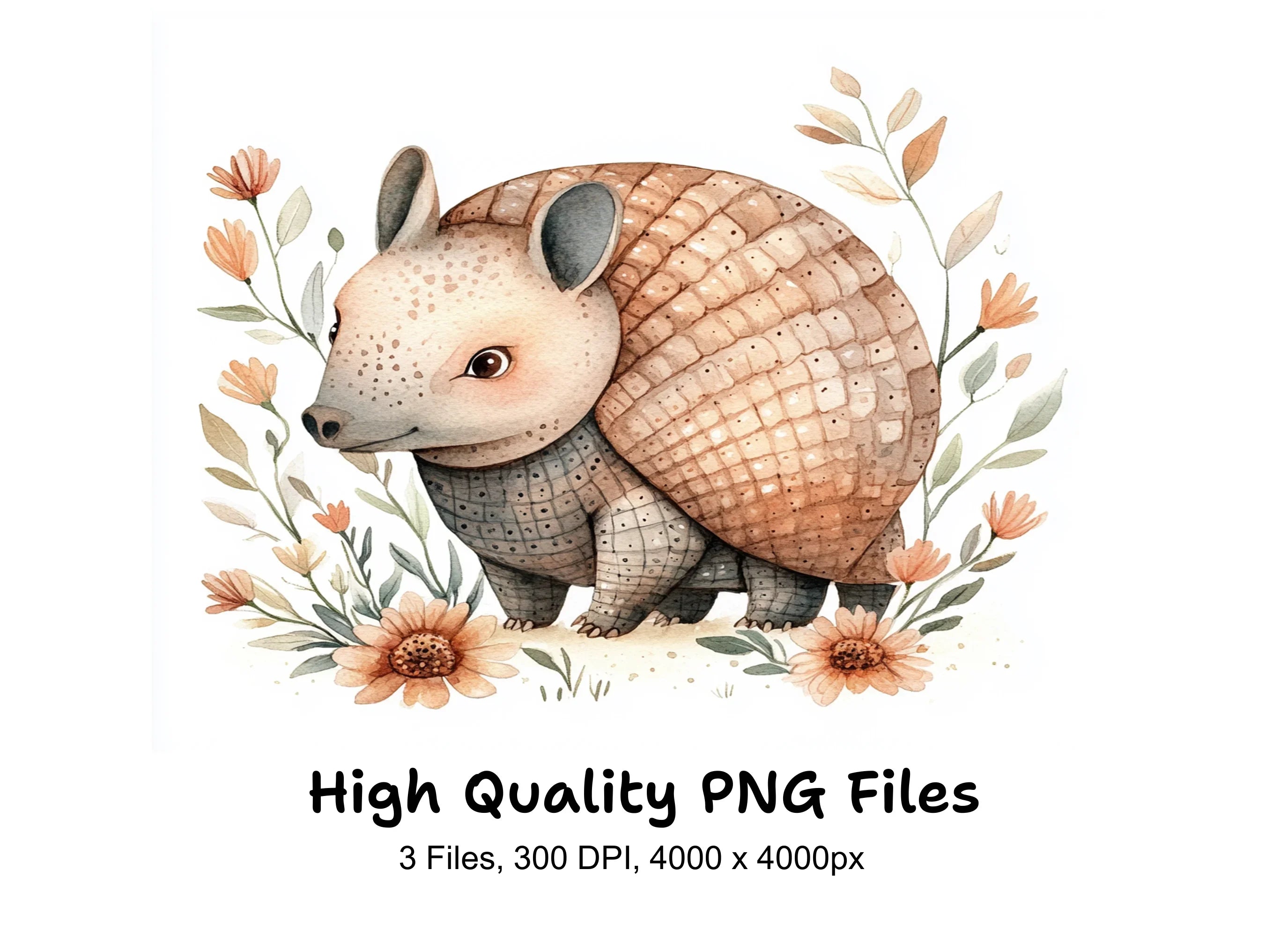 Charming Armadillo Clipart Bundle