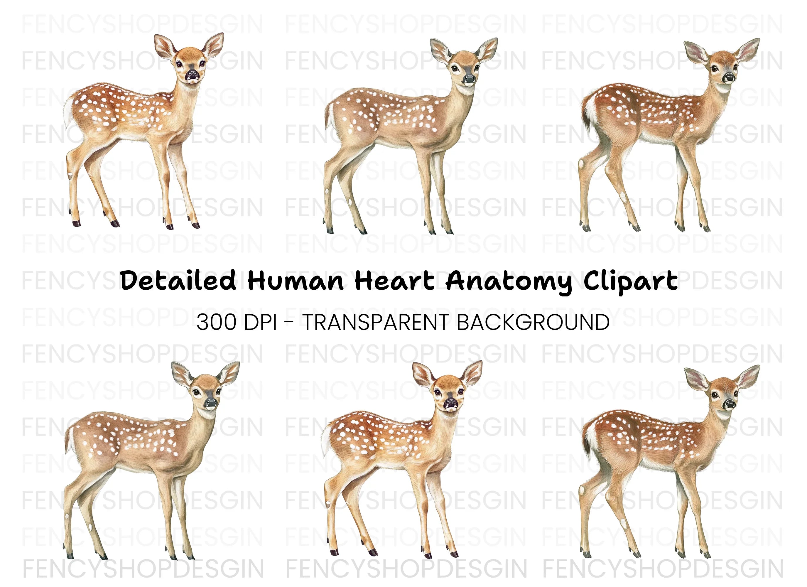 Adorable Fawn Deer Clipart Bundle
