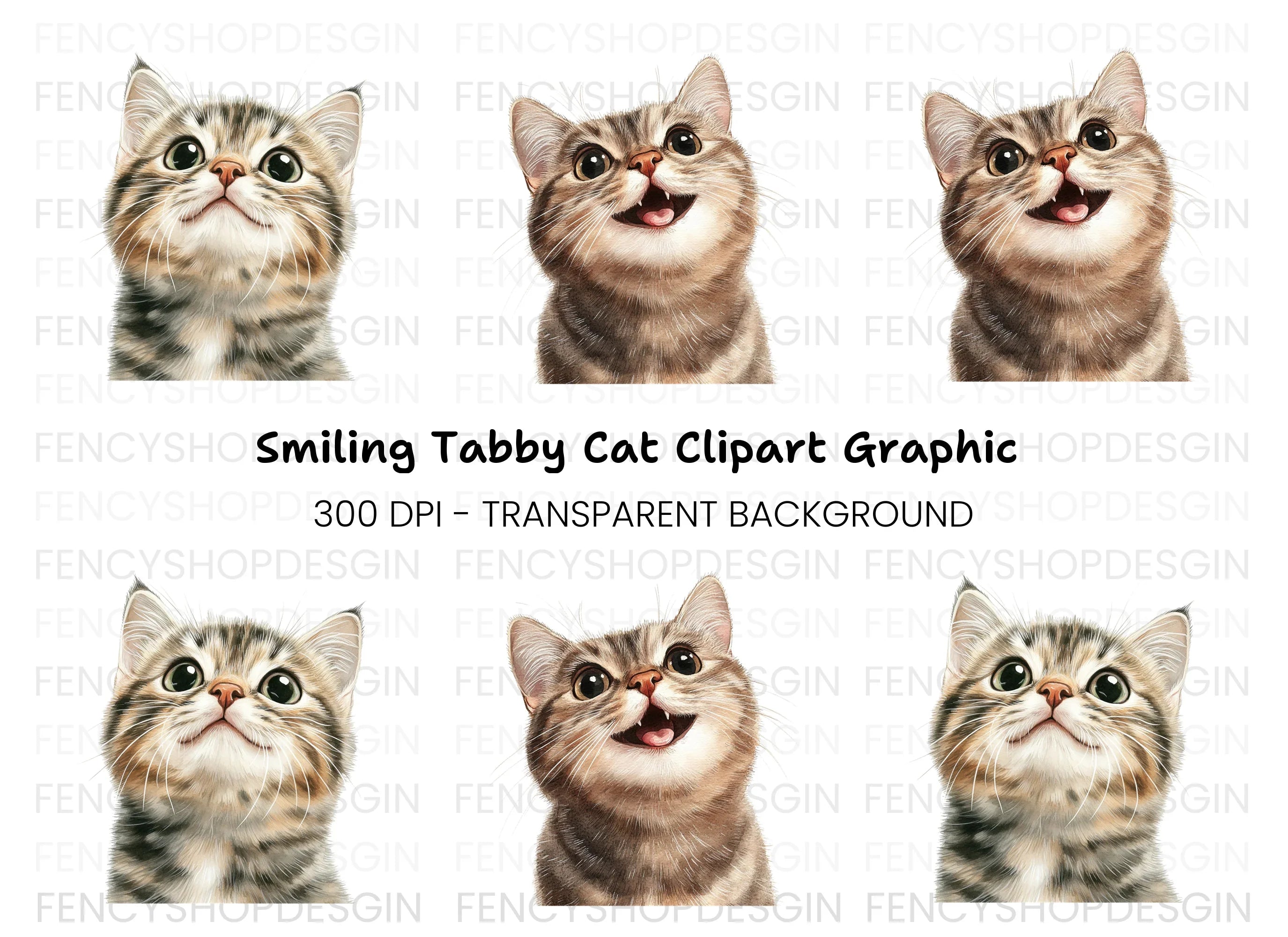Cute Tabby Kitten Faces Clipart Bundle