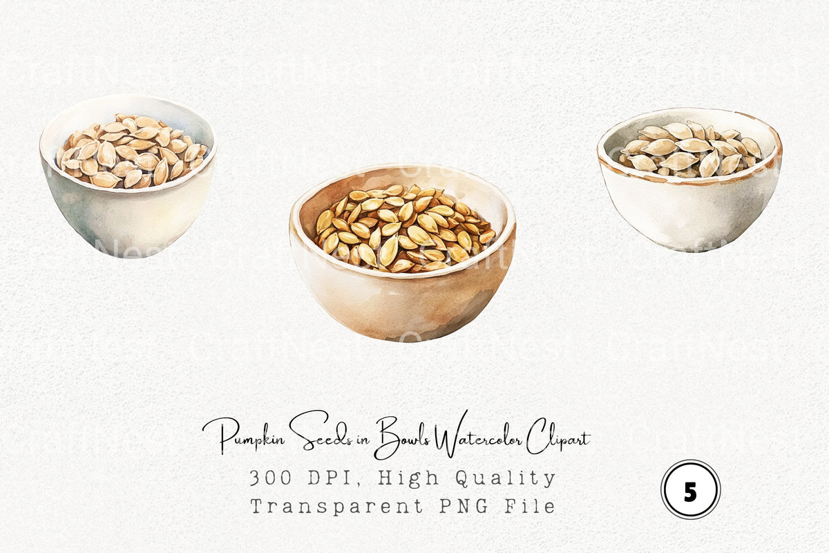 Pumpkin Seeds In Bowls Clipart Bundle