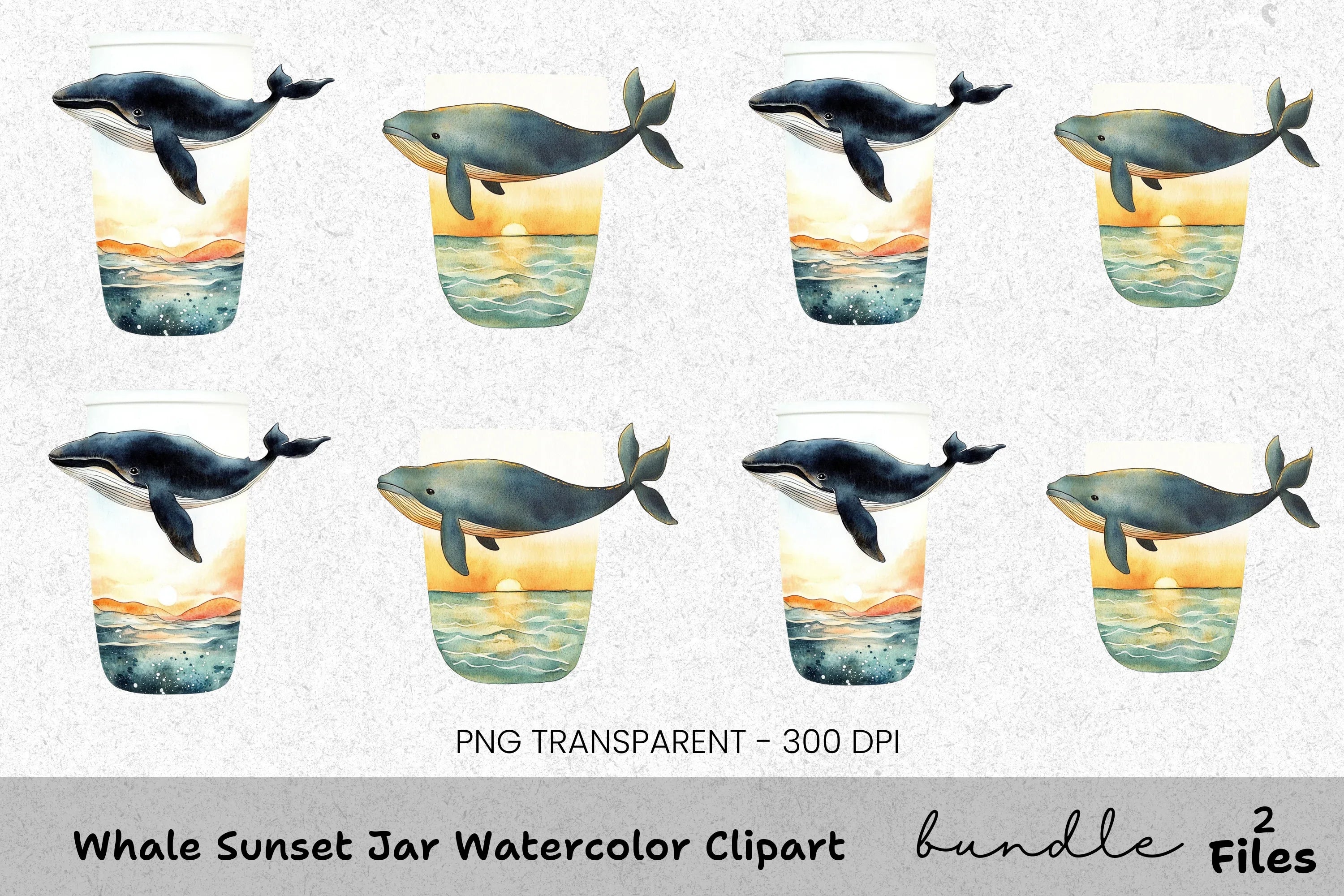 Whale Sunset Jar Clipart Bundle