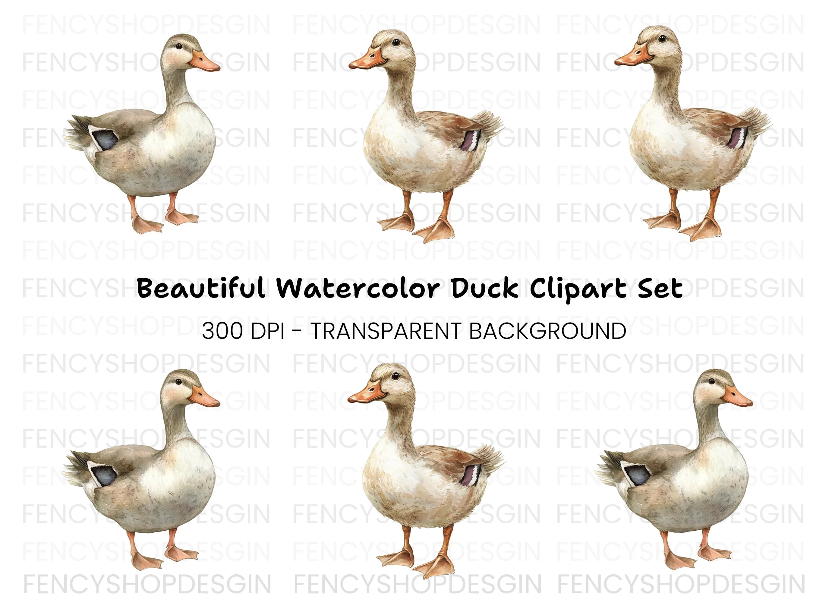 Cute Duck Clipart Bundle