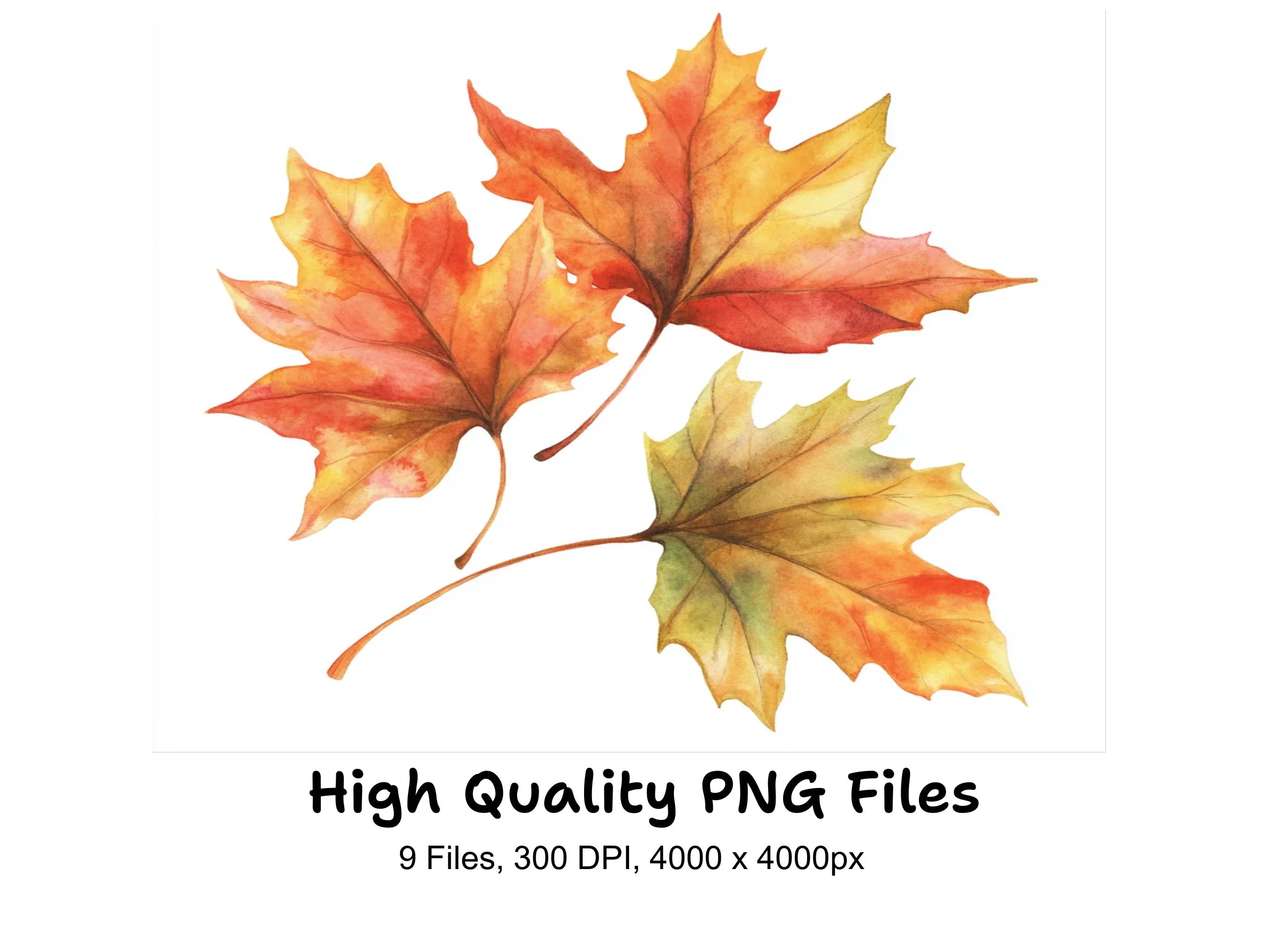 Autumn Leaves Clipart Bundle