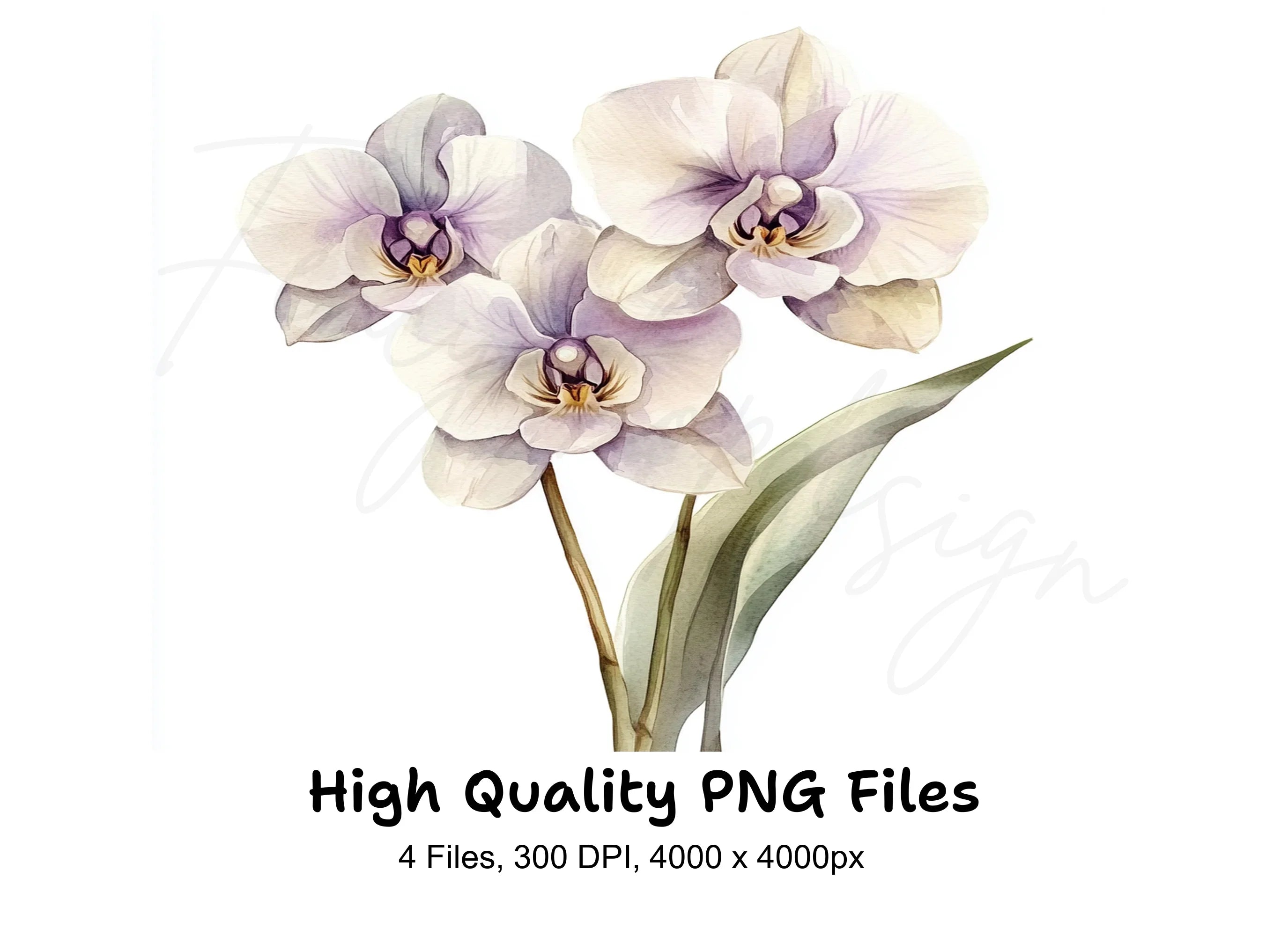 Elegant Orchid Clipart Bundle