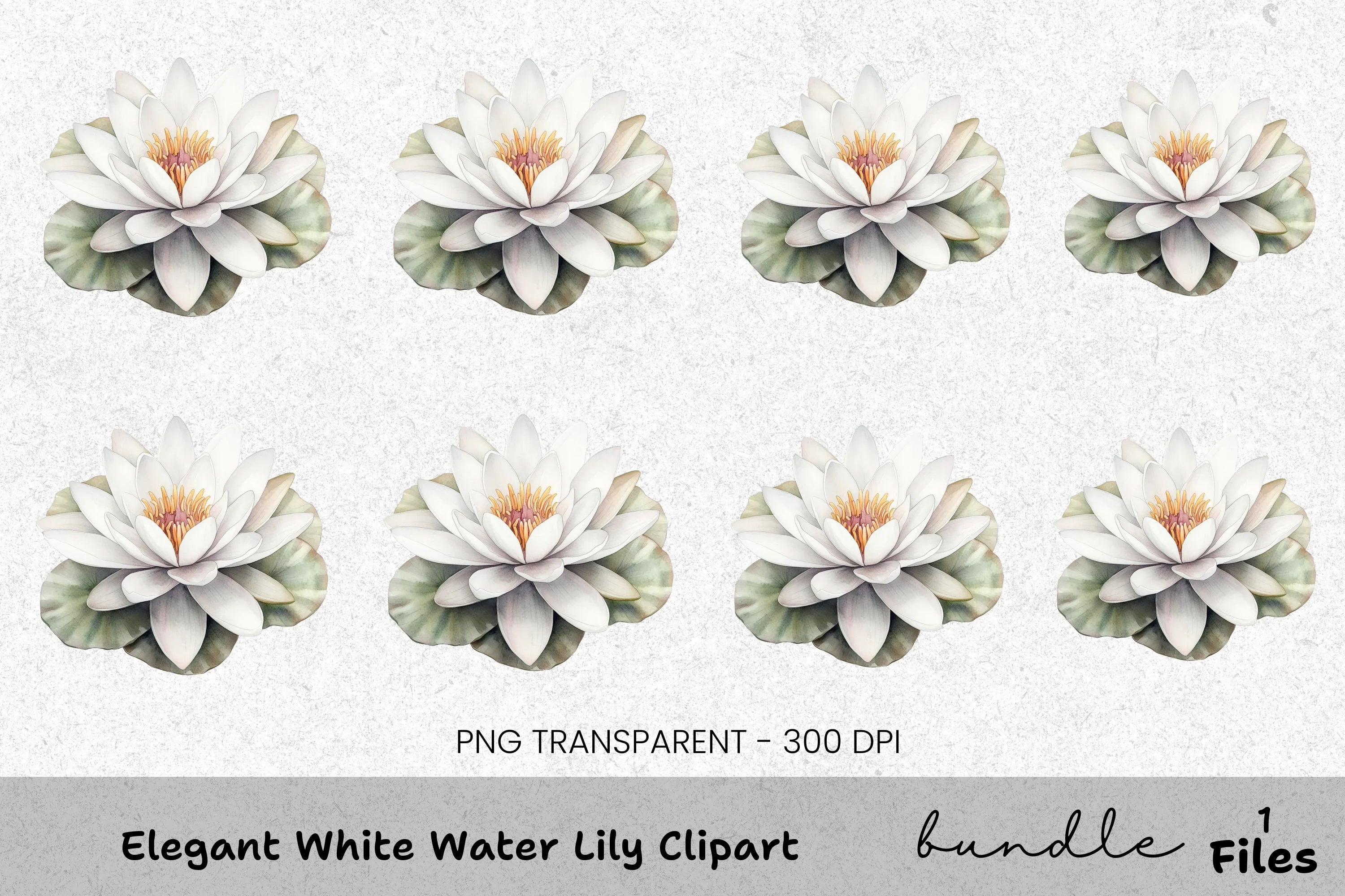 Elegant White Water Lily Clipart Bundle