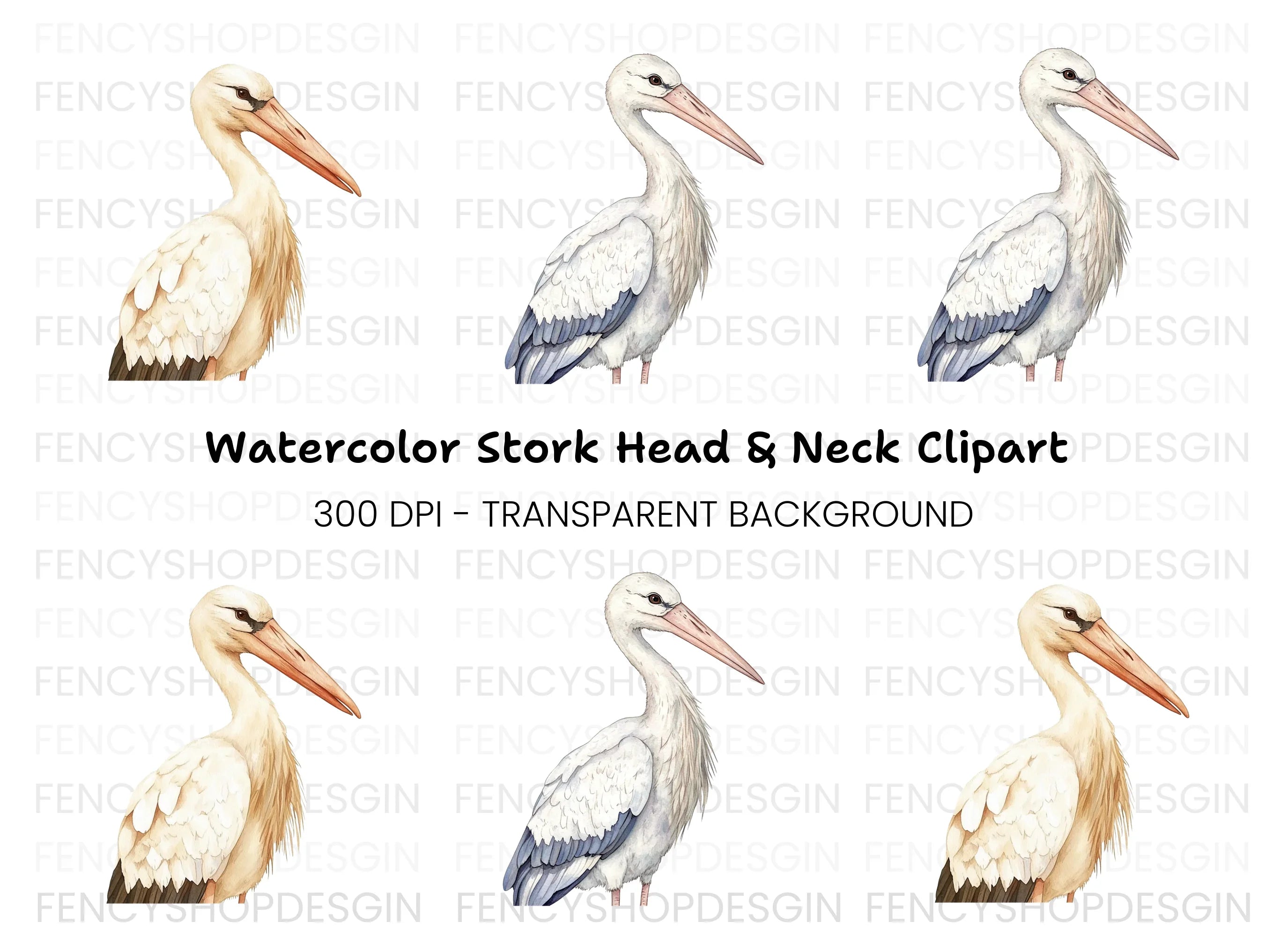 Stork Illustrations Clipart Bundle