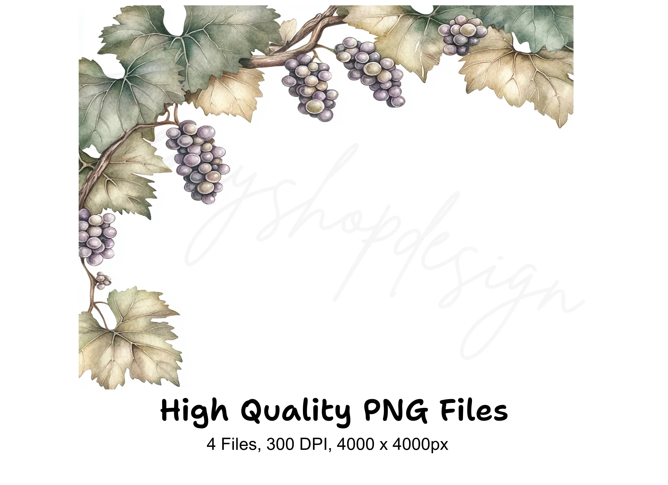 Vintage Grape Cluster Vine Elements Clipart Bundle