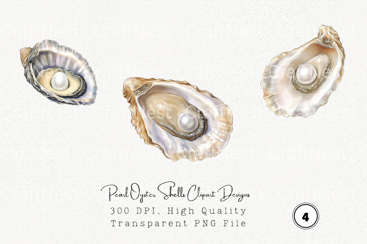 Pearl Oyster Shells Designs Clipart Bundle