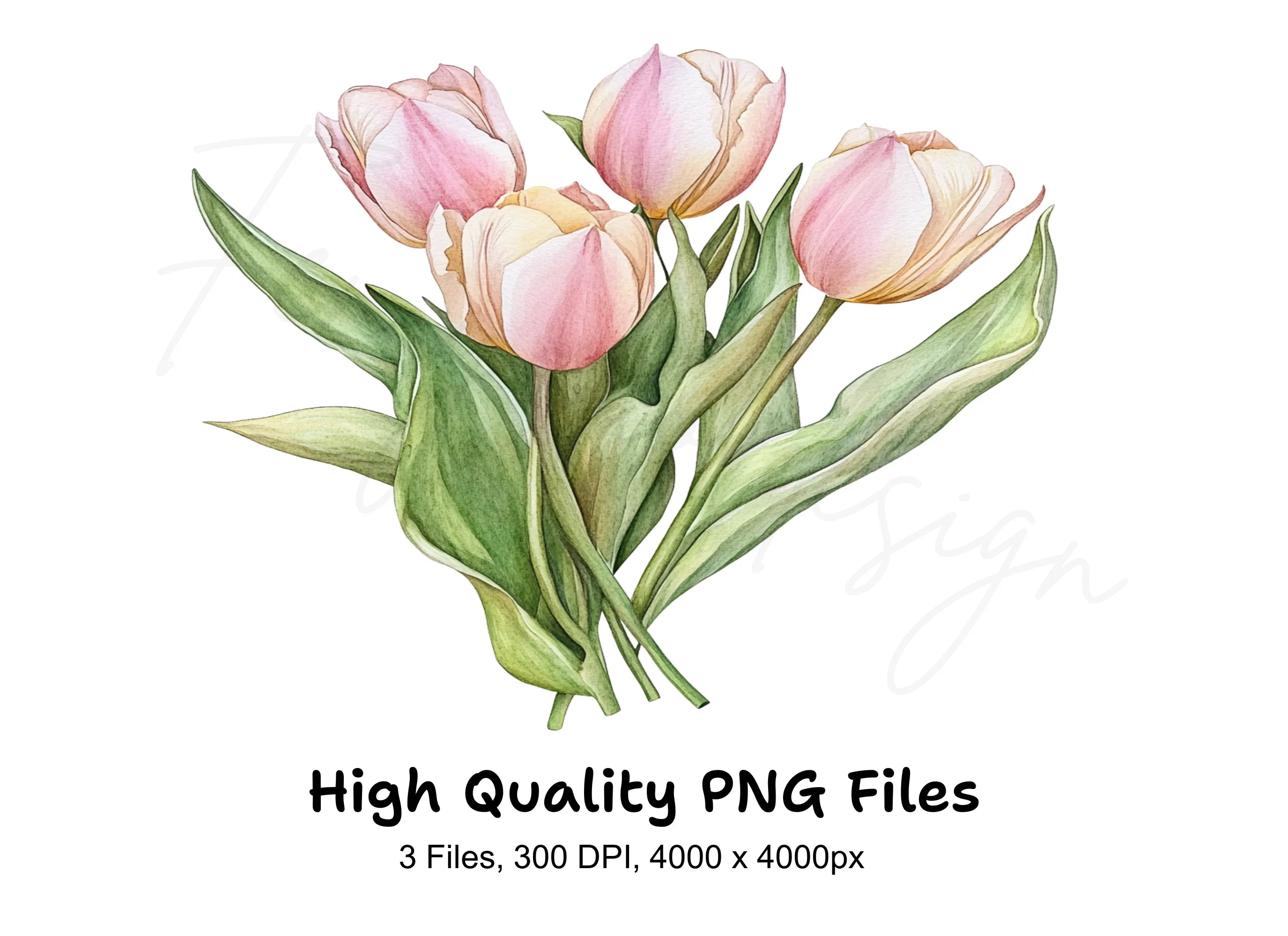 Pink and Yellow Tulip Bouquets Clipart Bundle