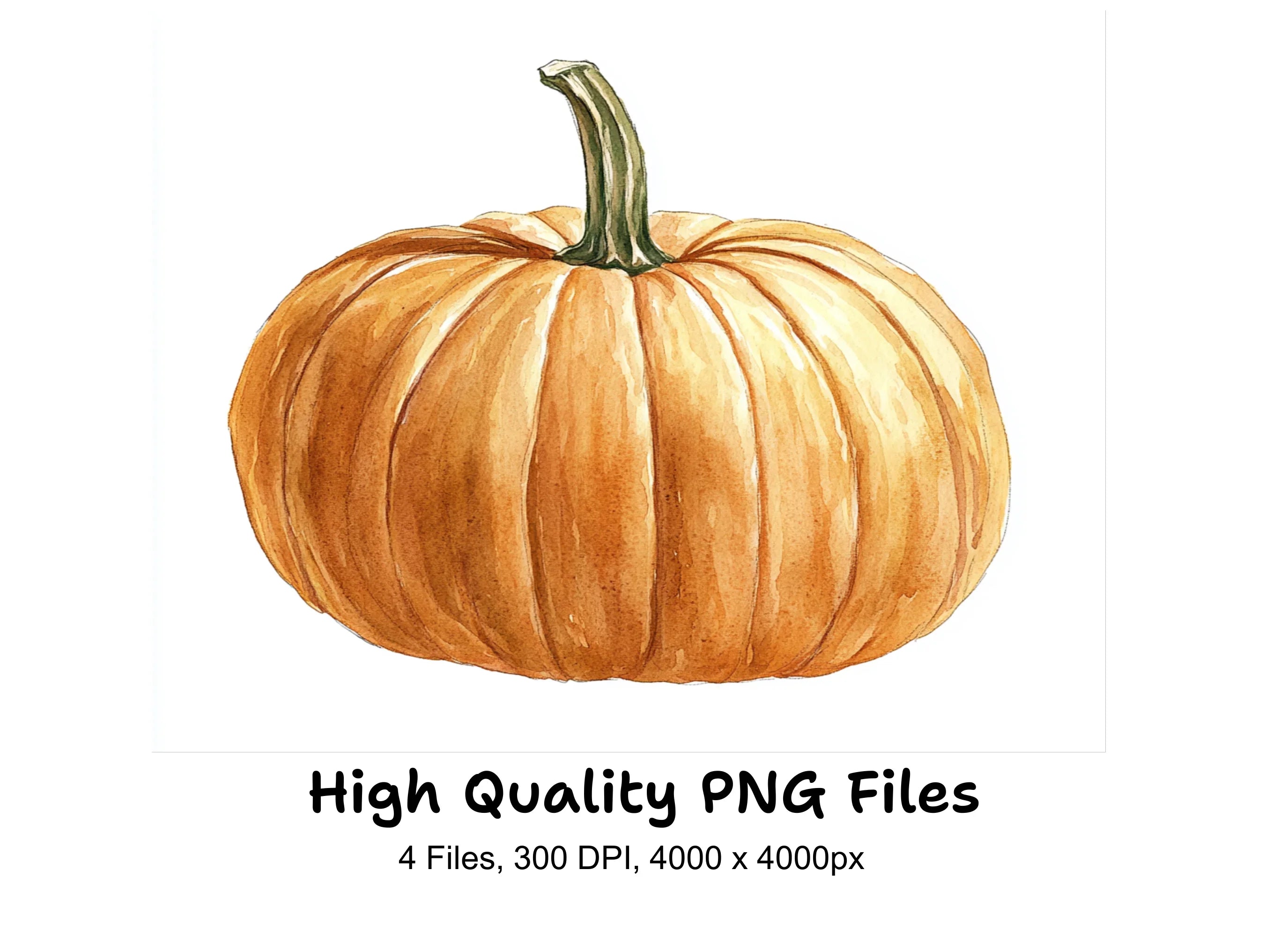 Pumpkin Clipart Bundle