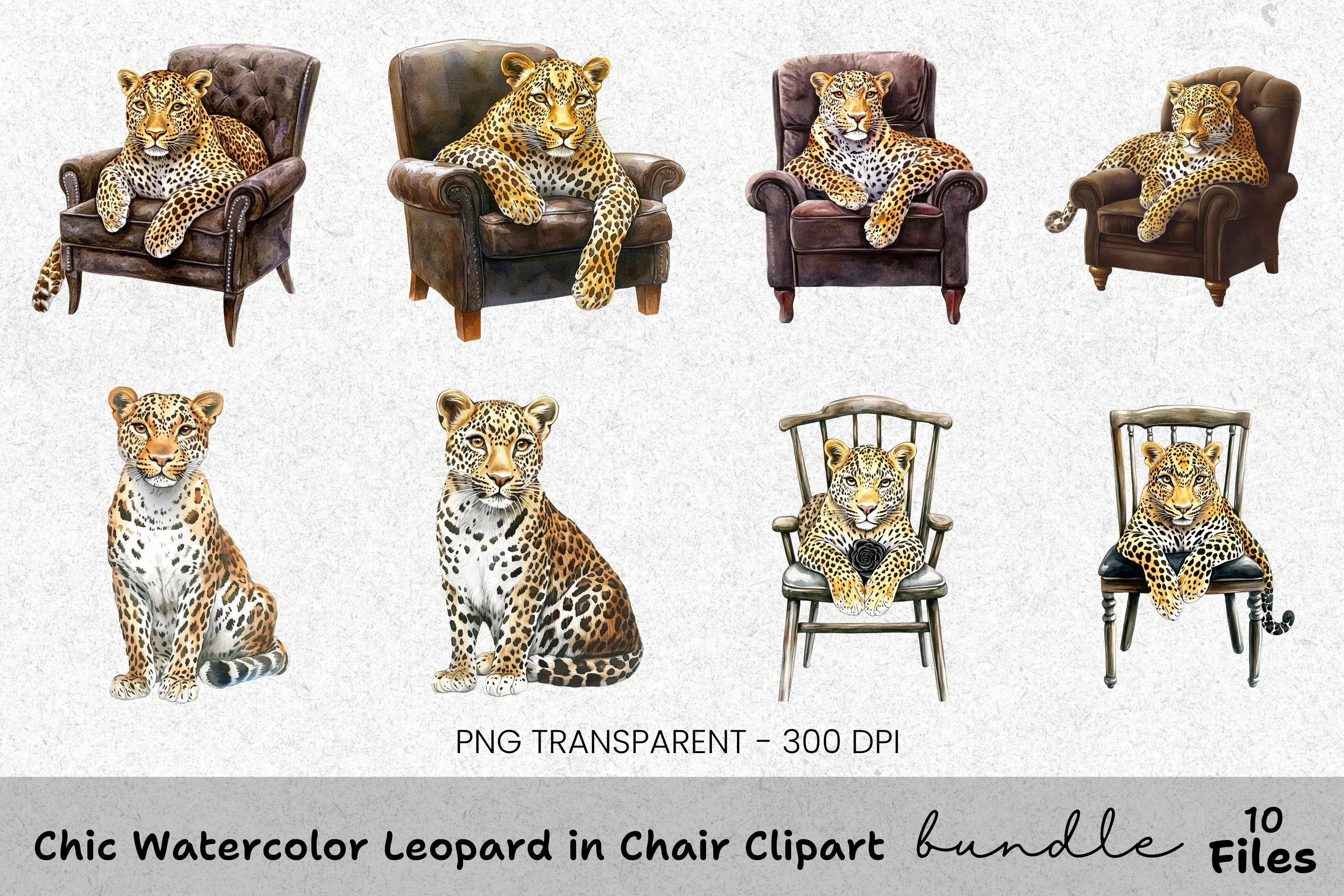 Chic Leopard in Chair Clipart Bundle