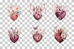 Anatomical Floral Heart with Butterflies Clipart Bundle - CraftNest - Digital Crafting and Art