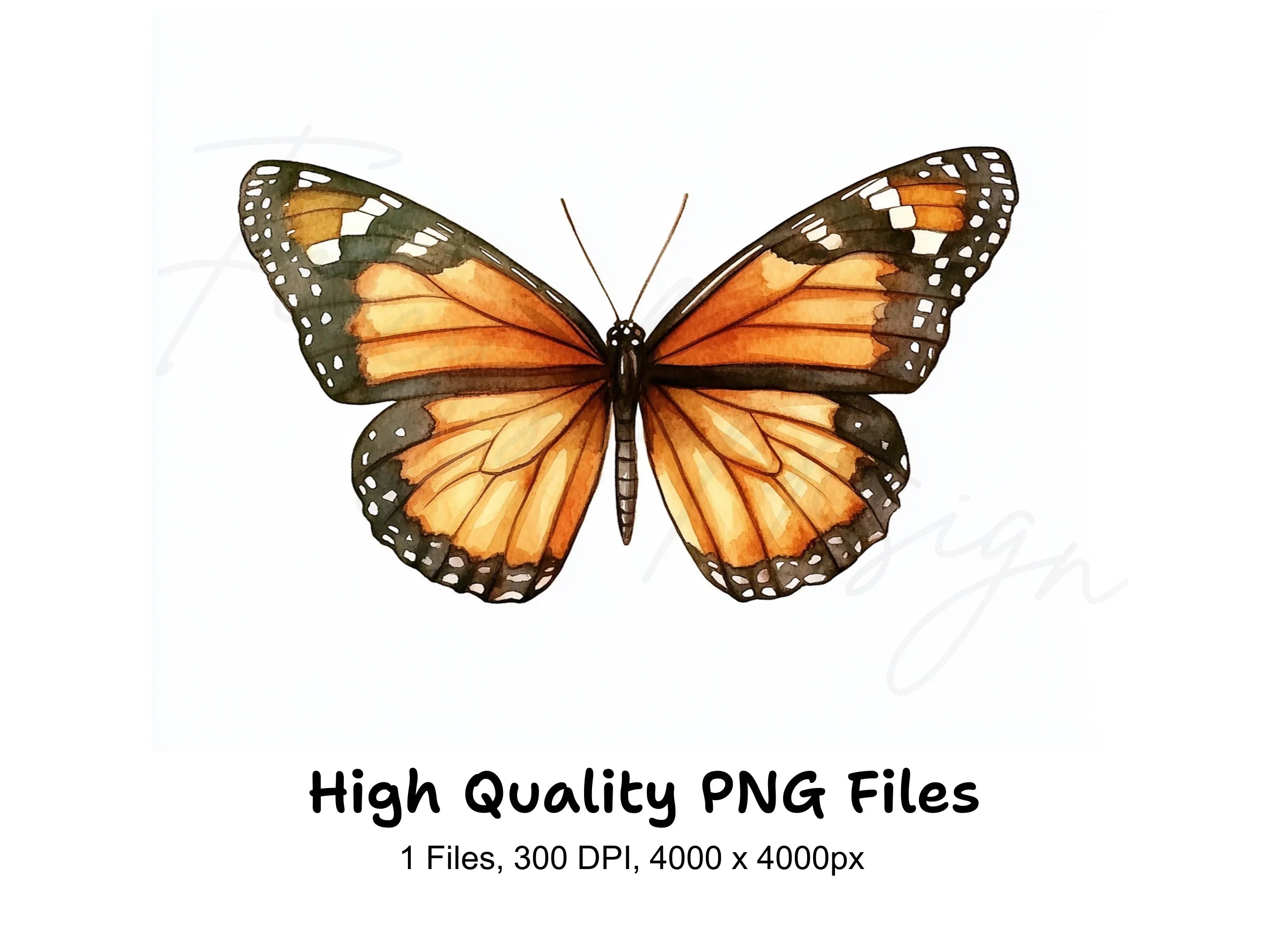 Monarch Butterfly Clipart Bundle