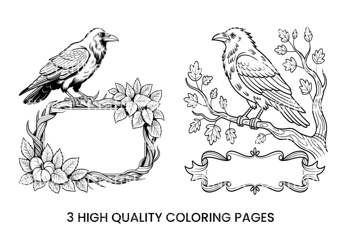 Raven and Crow Coloring Books