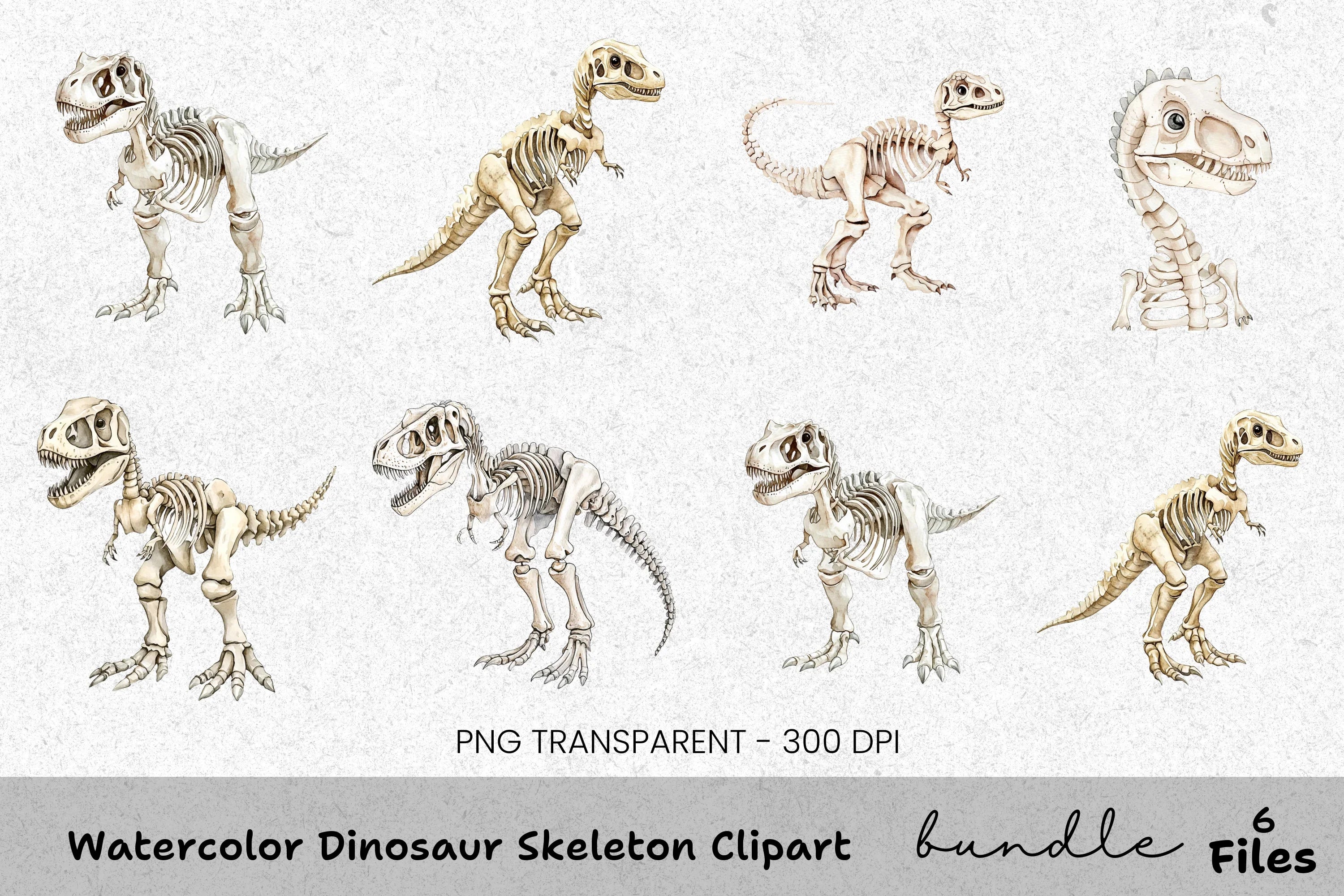 Dinosaur Skeleton Clipart Bundle
