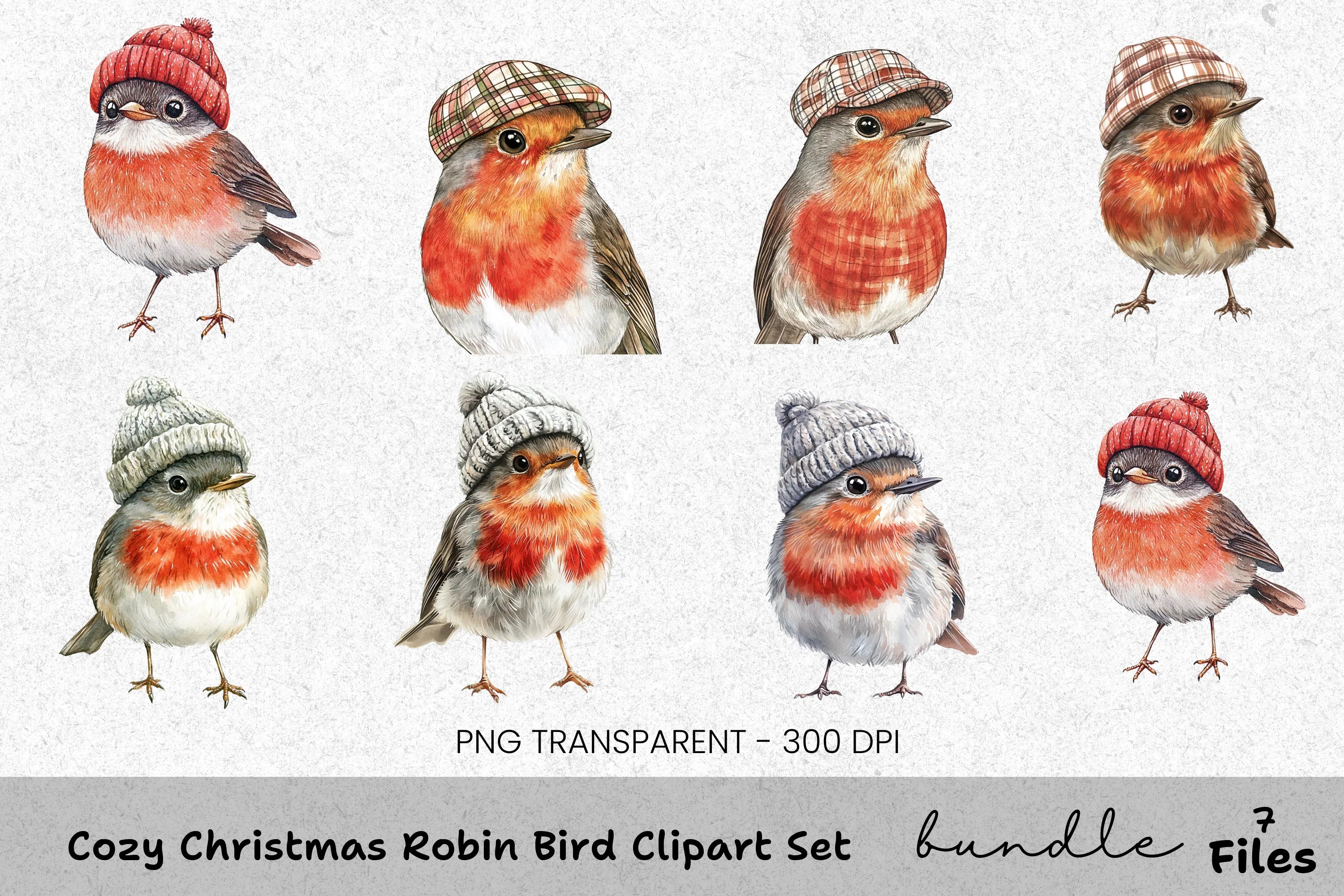 Cozy Christmas Robin Bird Clipart Bundle