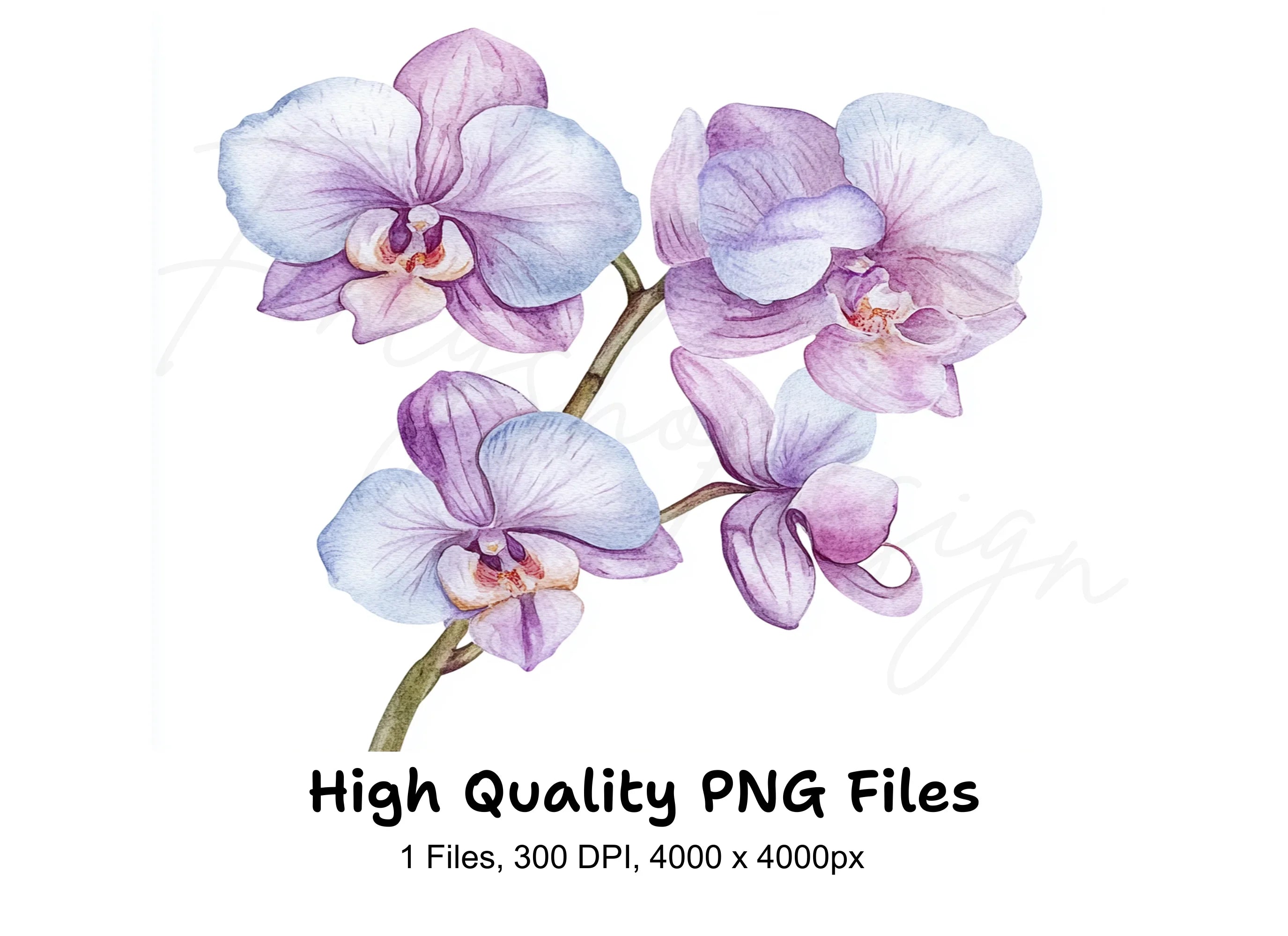 Purple Orchid Clipart Bundle