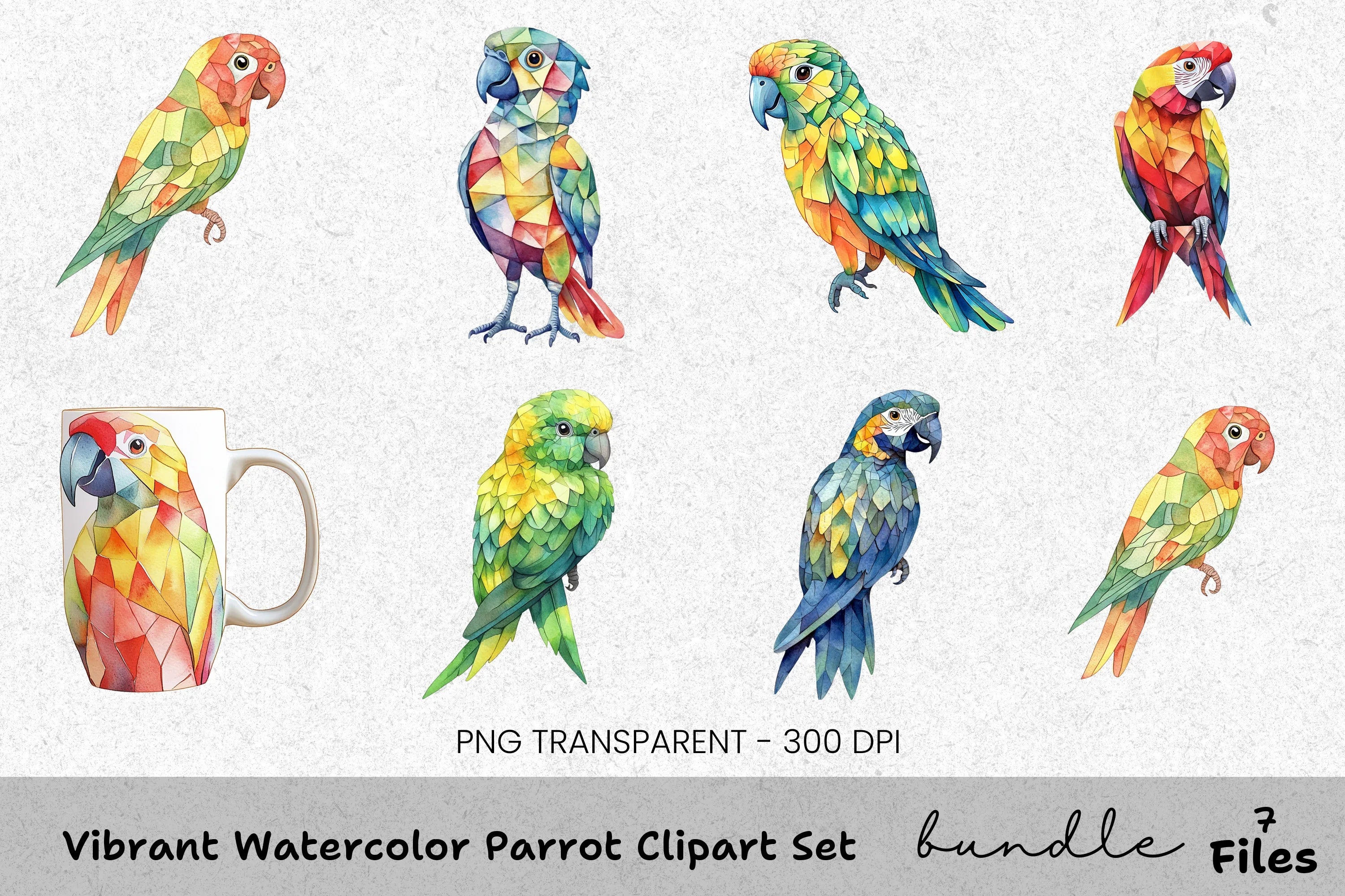 Vibrant Parrot Clipart Bundle
