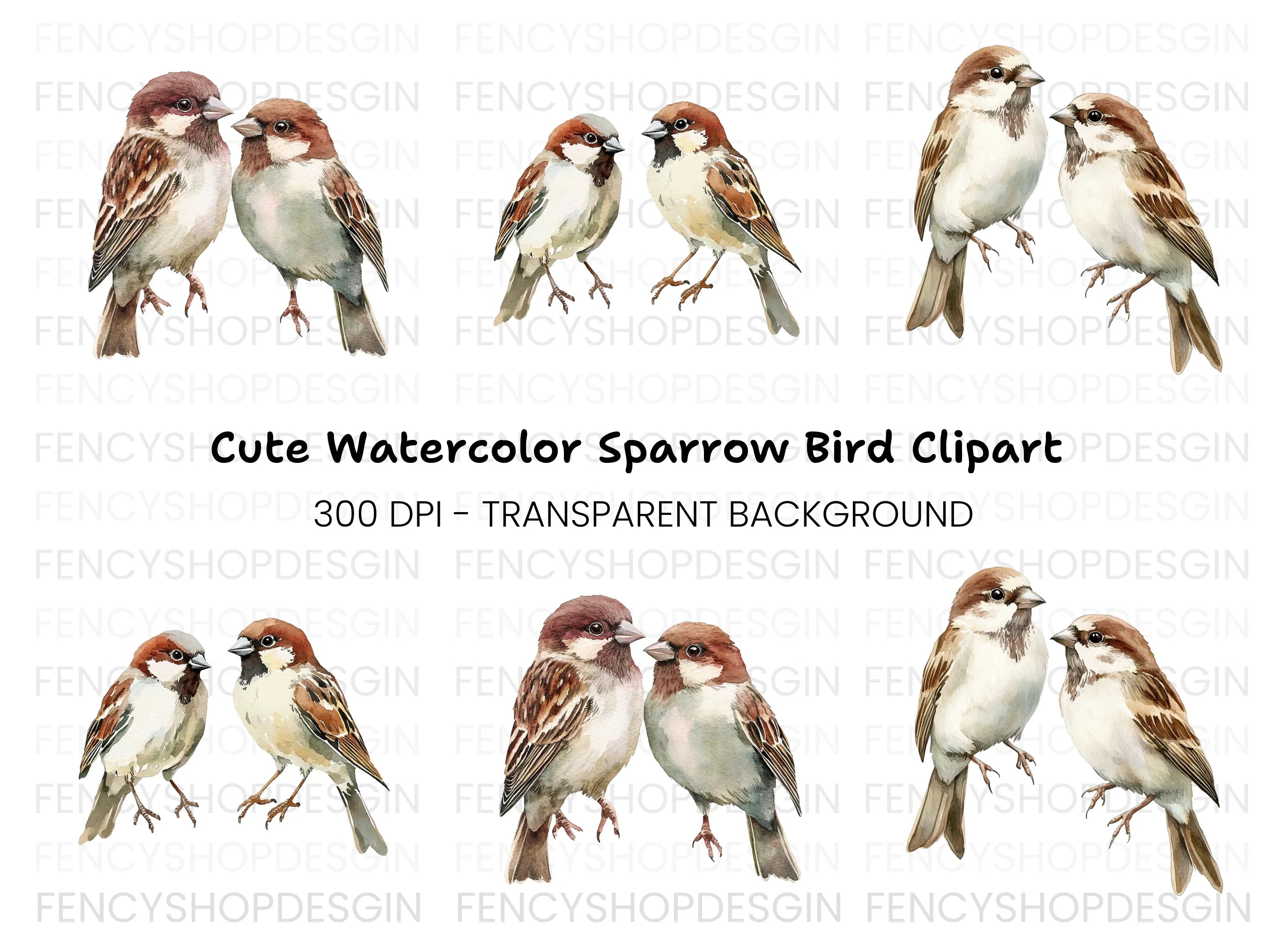 Sparrow Birds Clipart Bundle