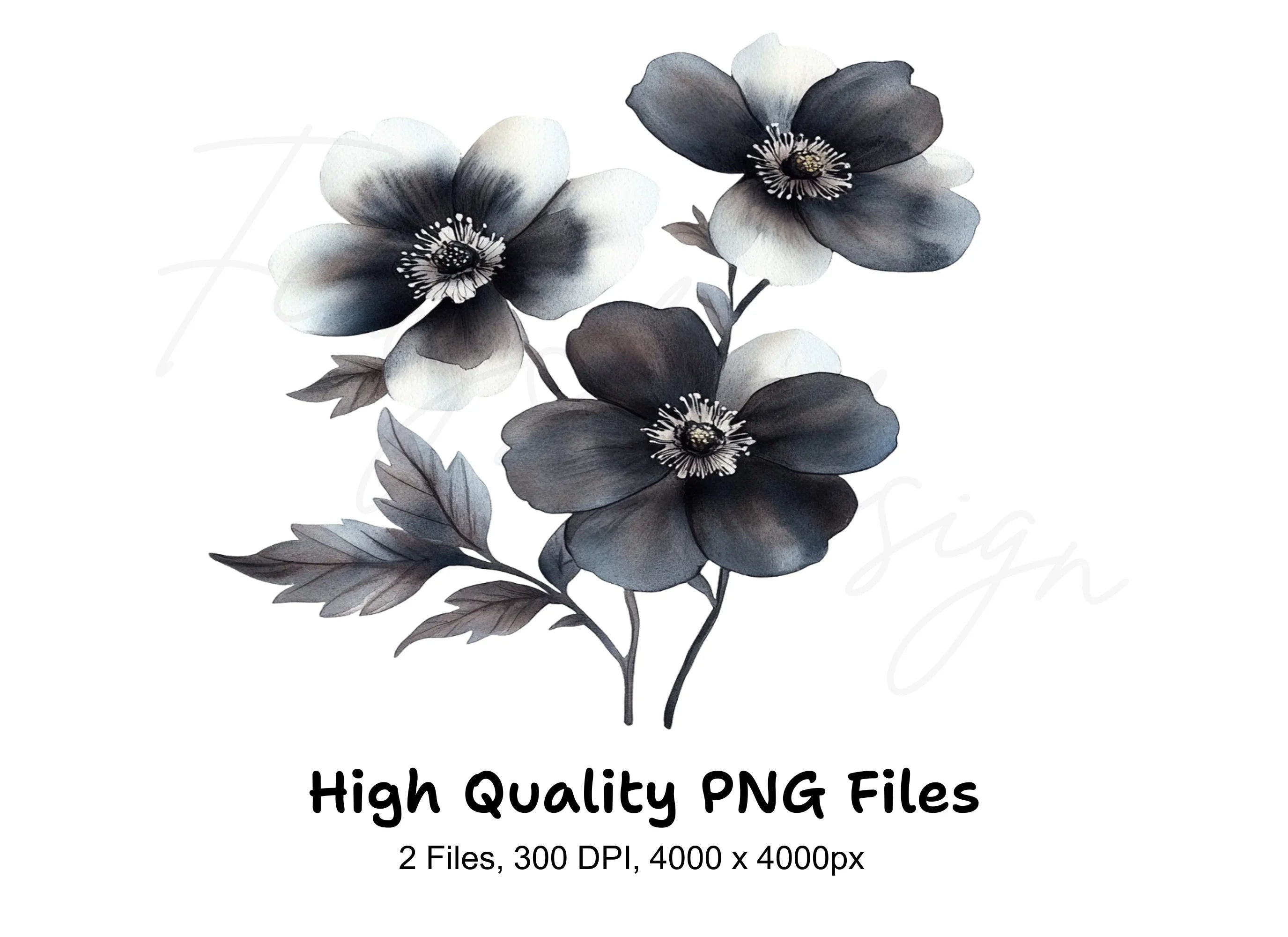 Monochrome Floral Clipart Bundle