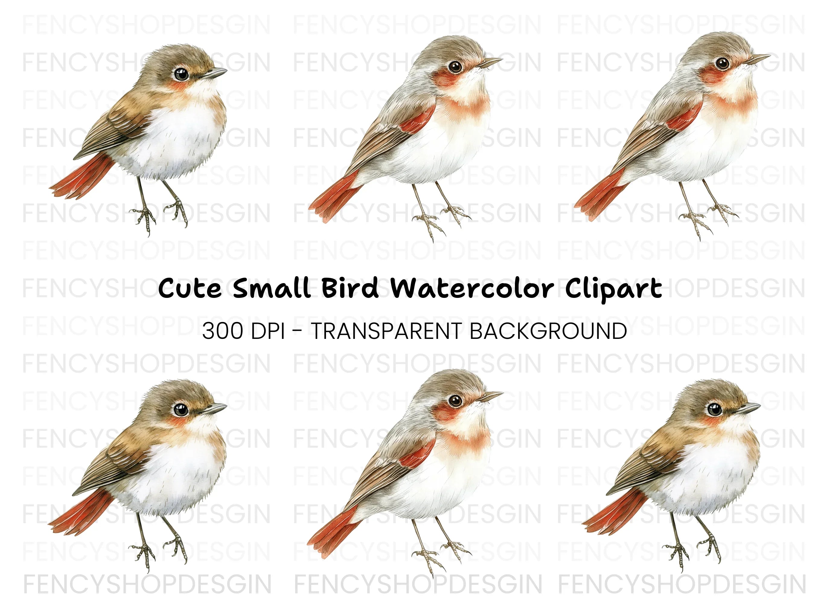 Cute Bird Clipart Bundle