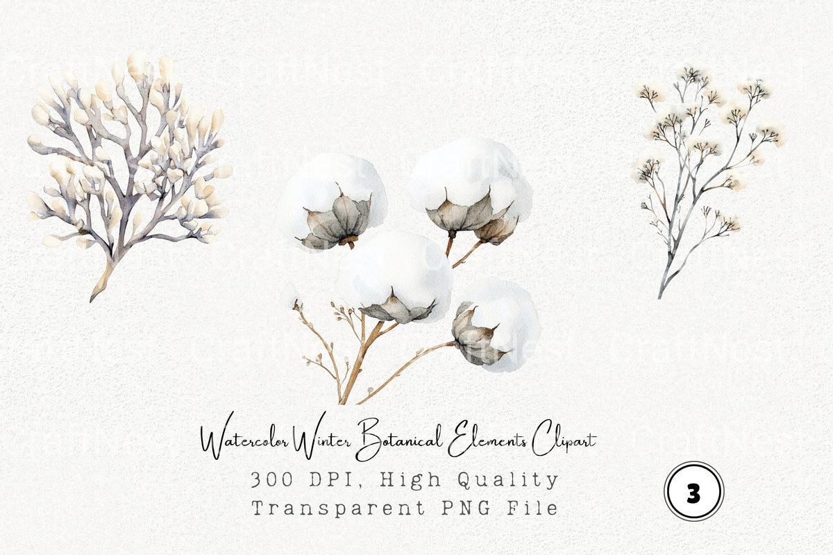 Winter Botanical Elements Clipart Bundle