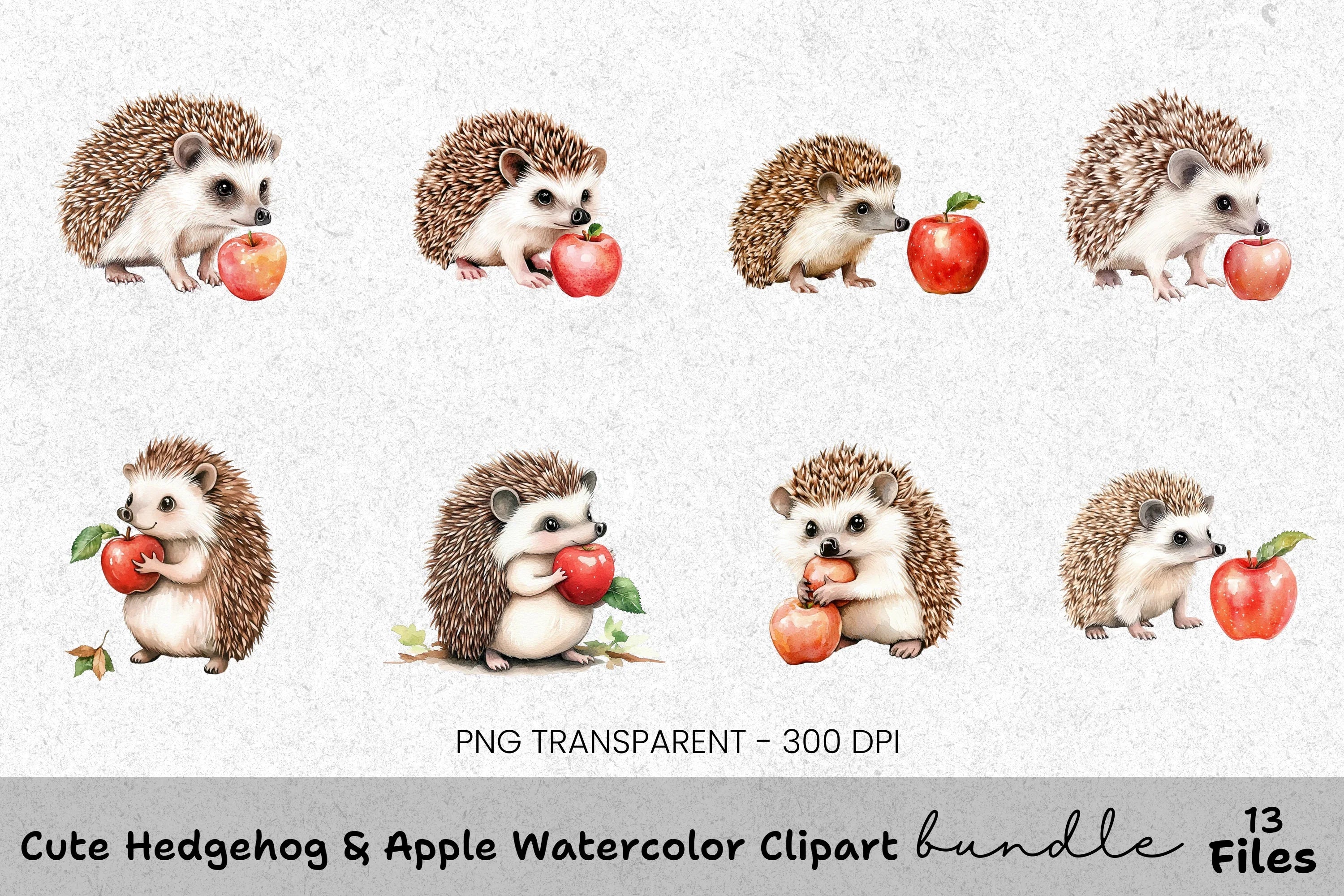 Cute Hedgehog Apple Clipart Bundle