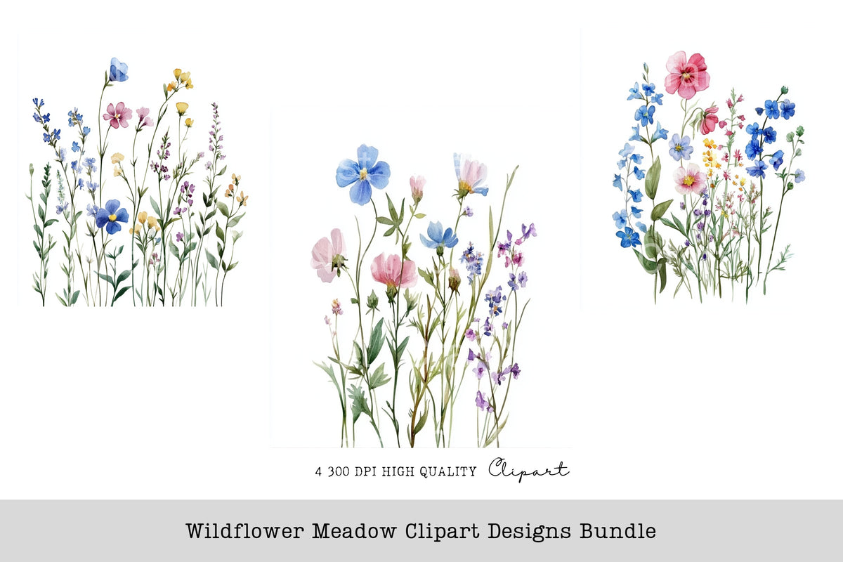 Wildflower Meadow Graphics Designs Clipart Bundle