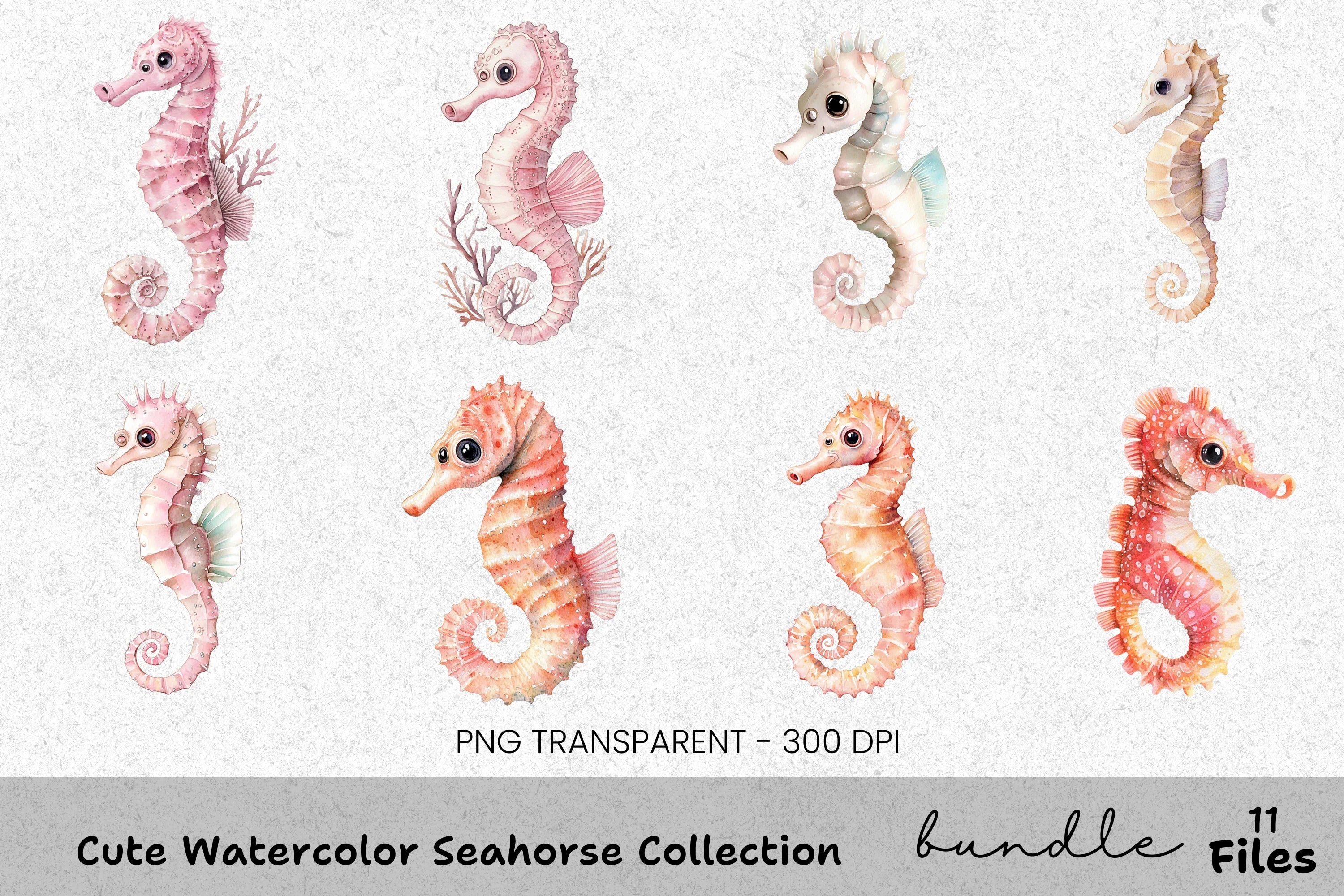 Cute Seahorse Clipart Bundle