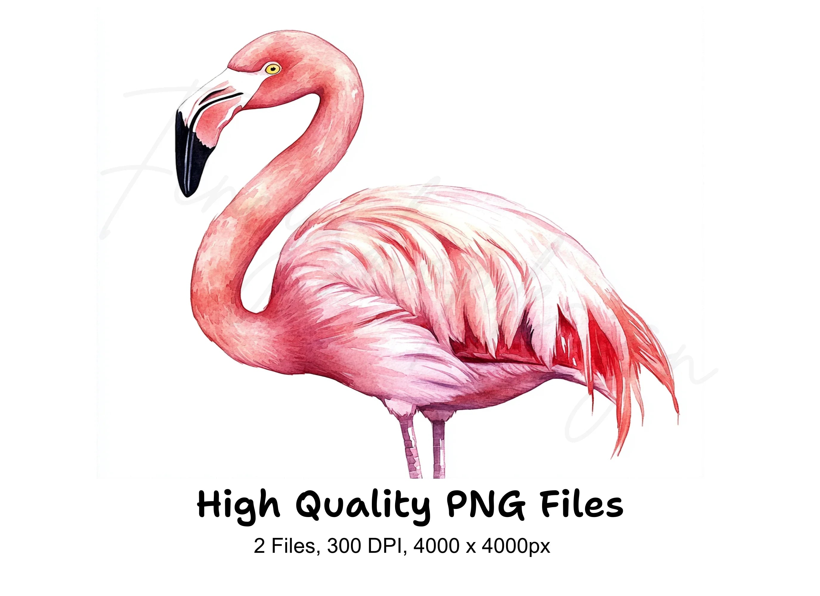 Pink Flamingo Clipart Bundle