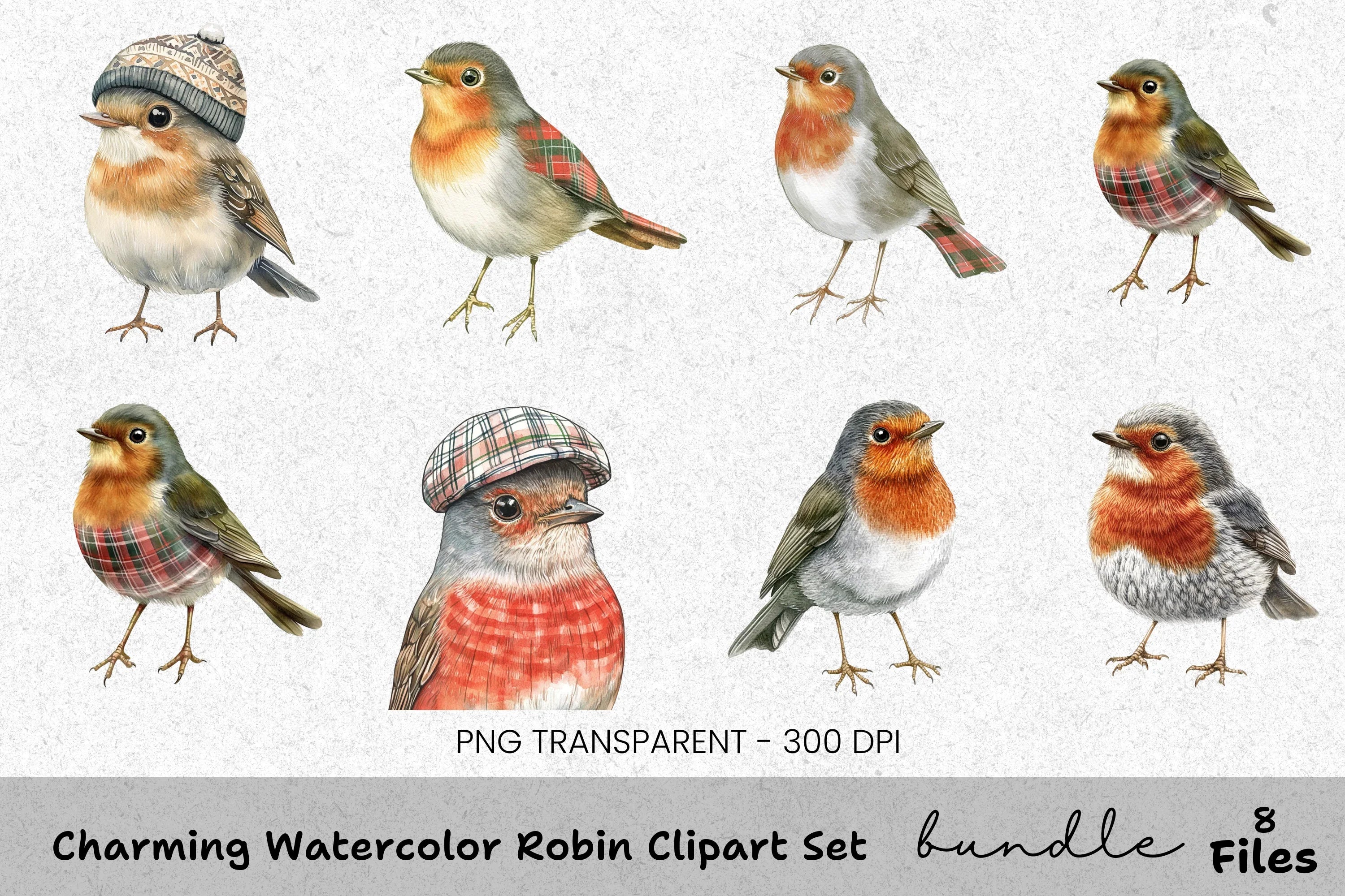 Charming Robin Clipart Bundle