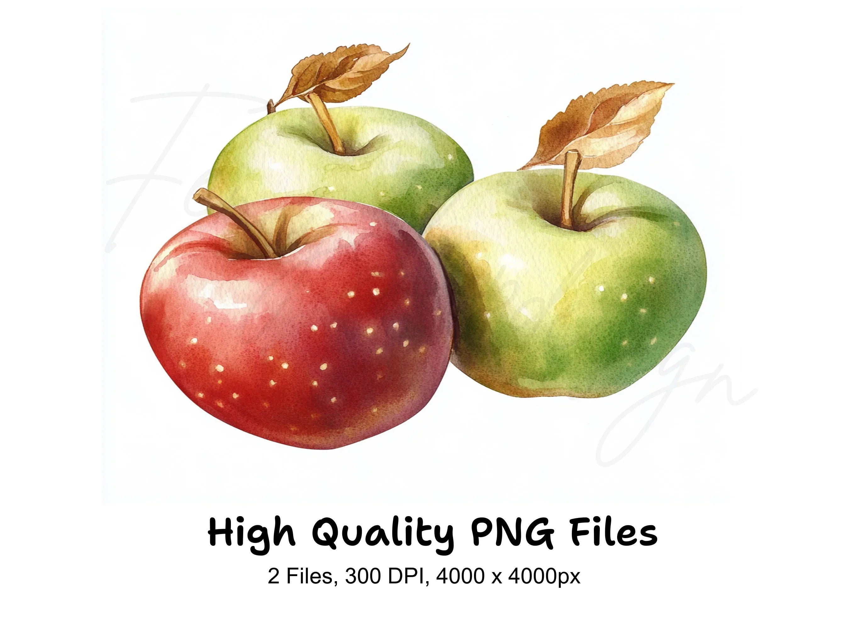 Apples Clipart Bundle