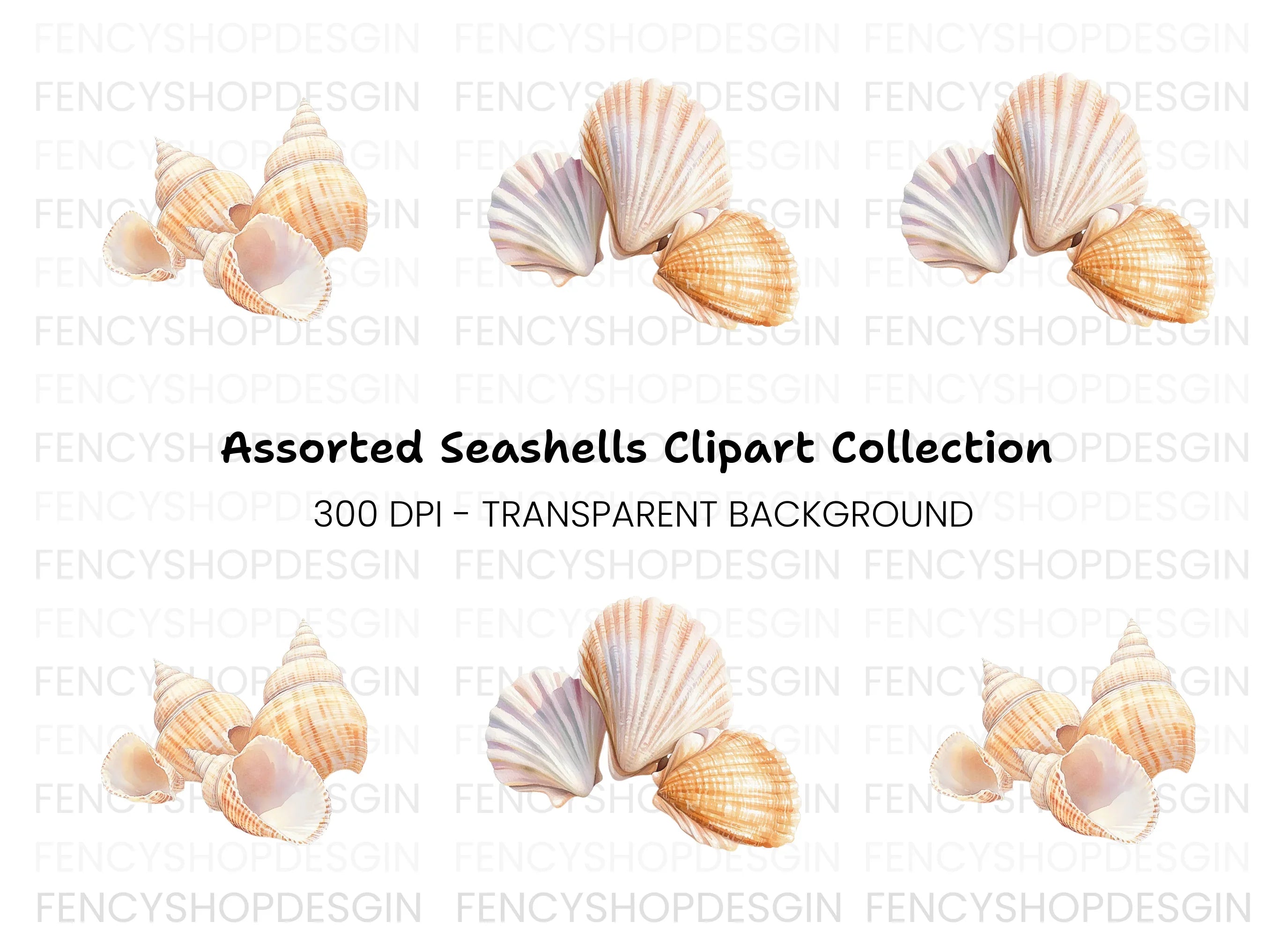 Elegant Seashells Clipart Bundle