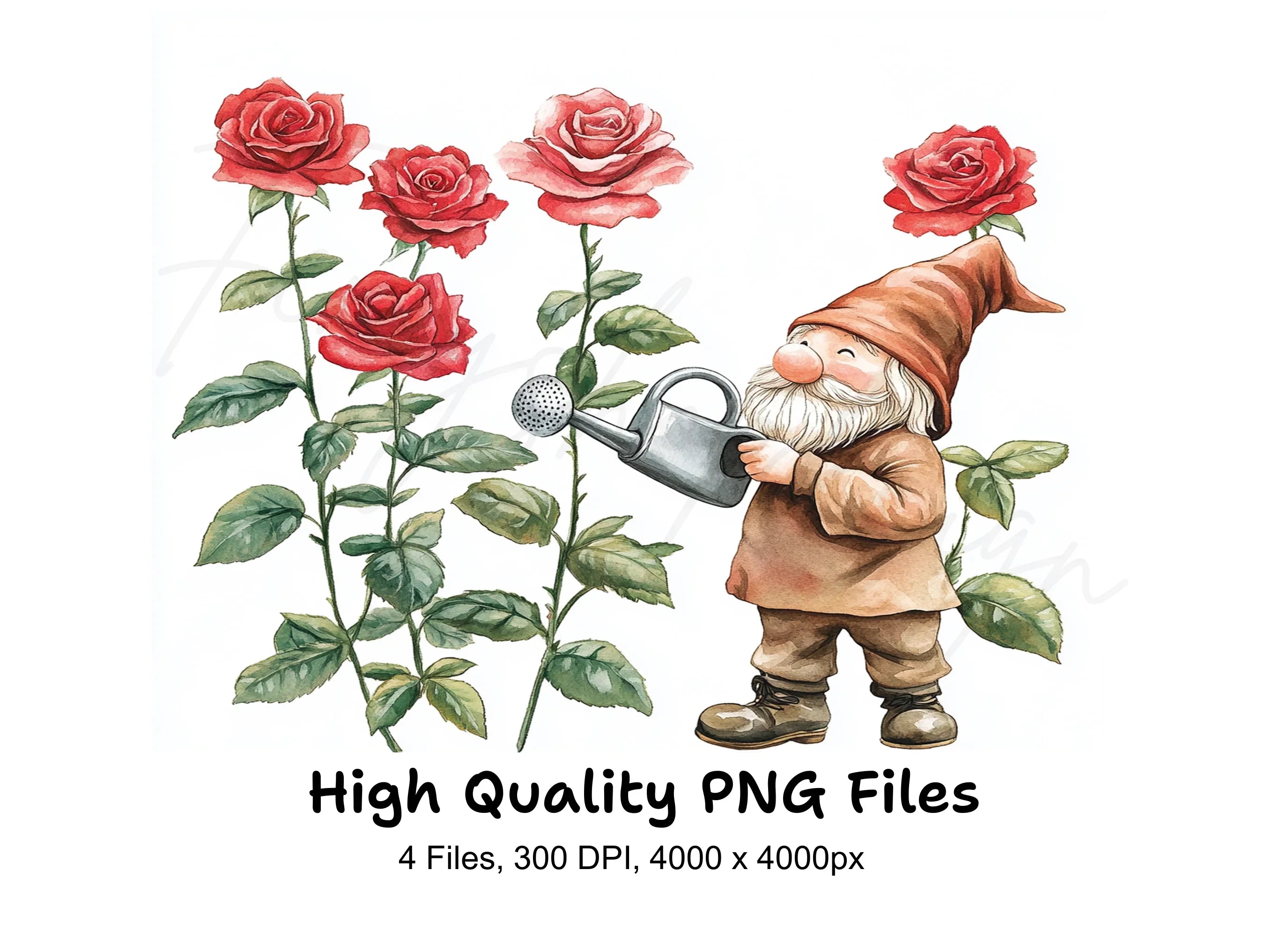 Garden Gnomes Watering Red Roses Clipart Bundle