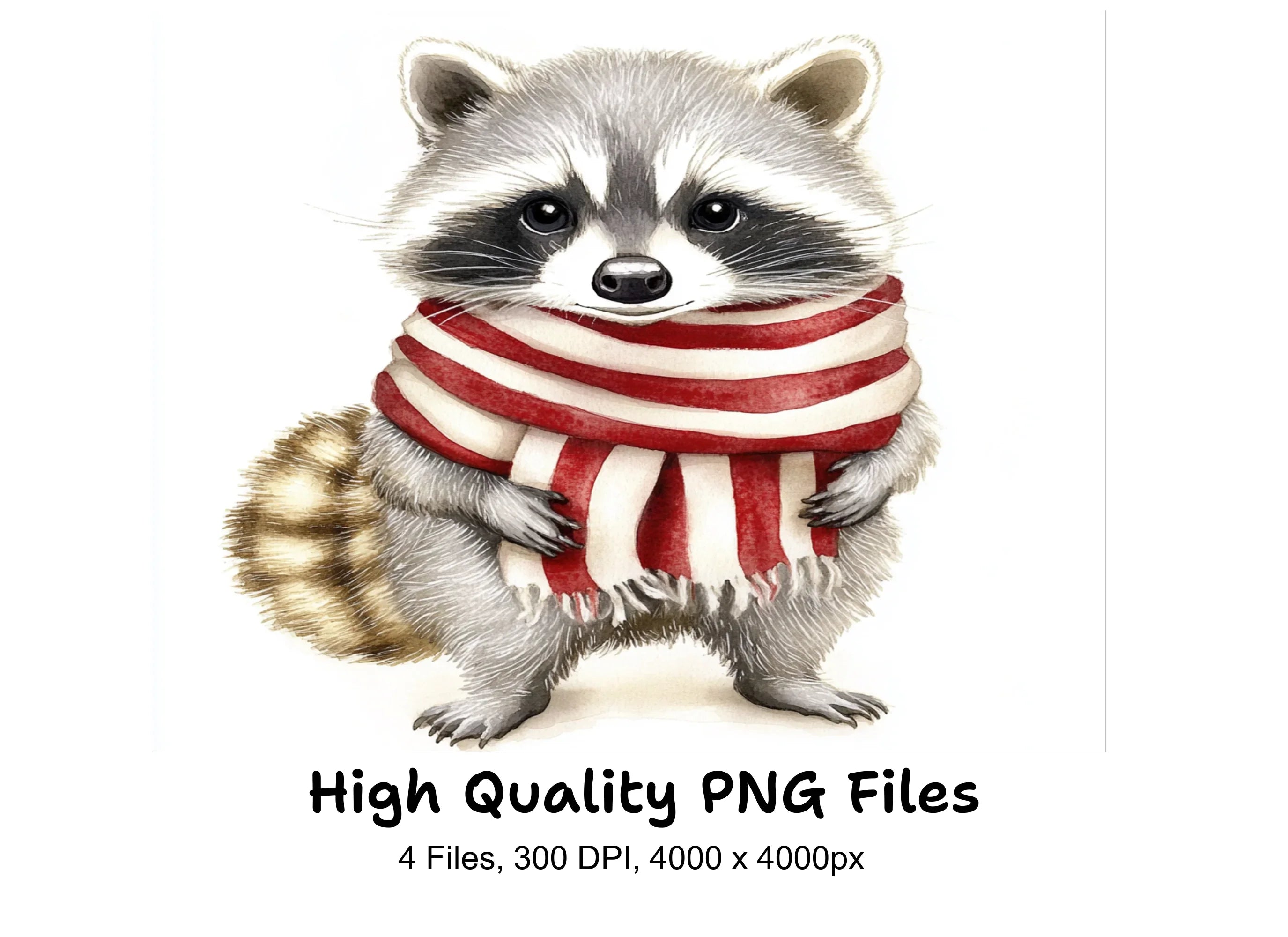 Cute Raccoons with Winter Scarves Clipart Bundle