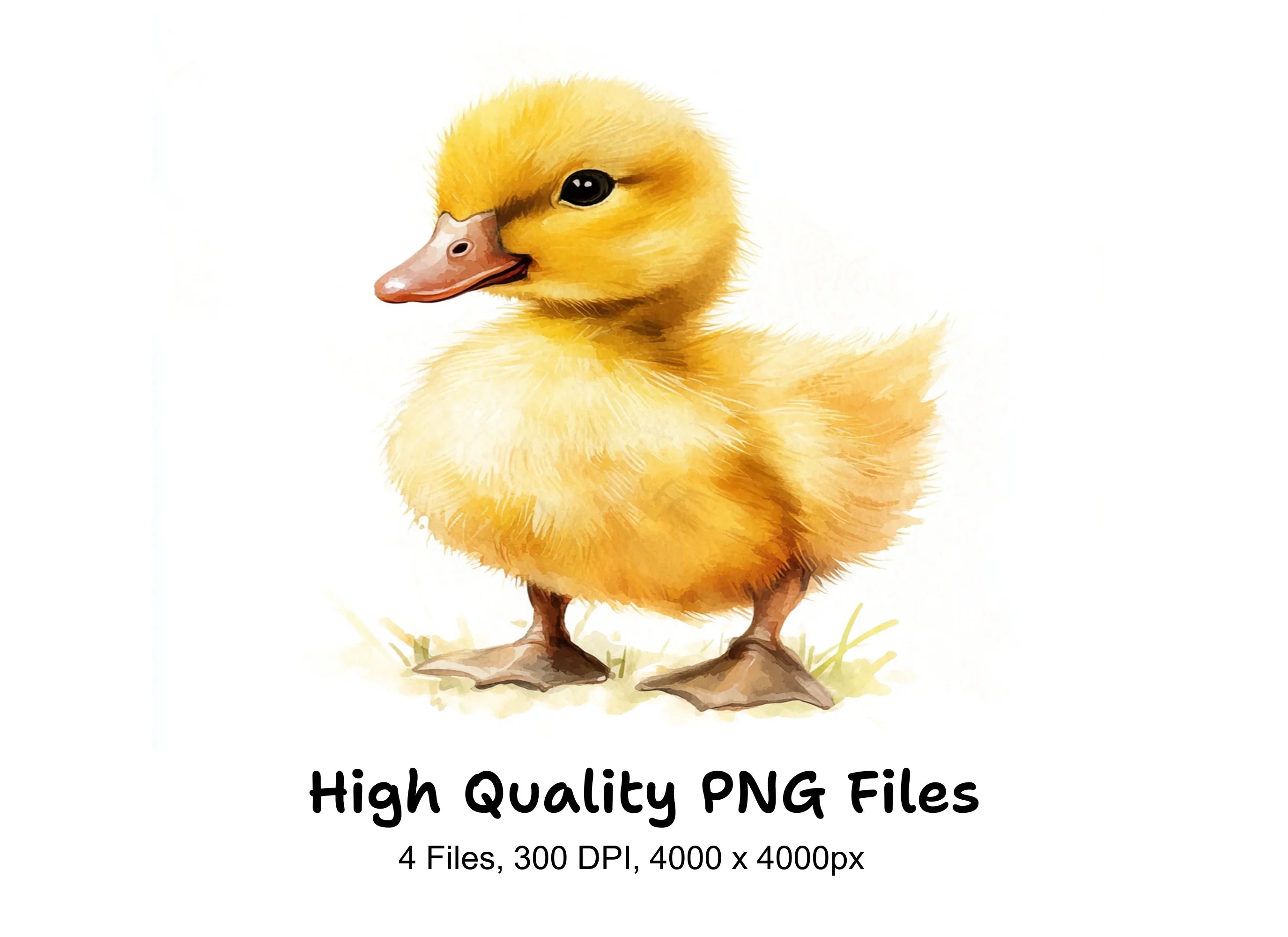 Fluffy Yellow Duckling Clipart Bundle