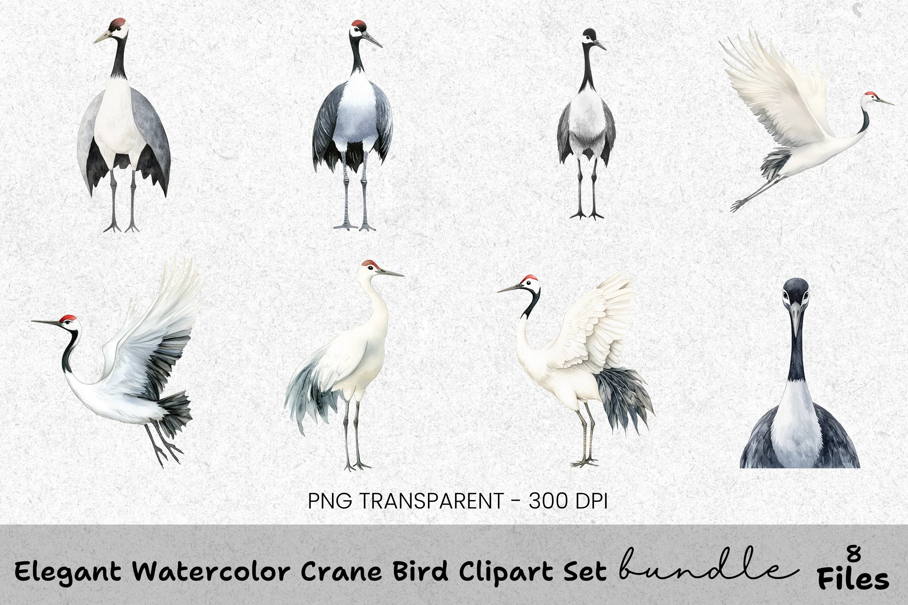 Elegant Crane Bird Clipart Bundle