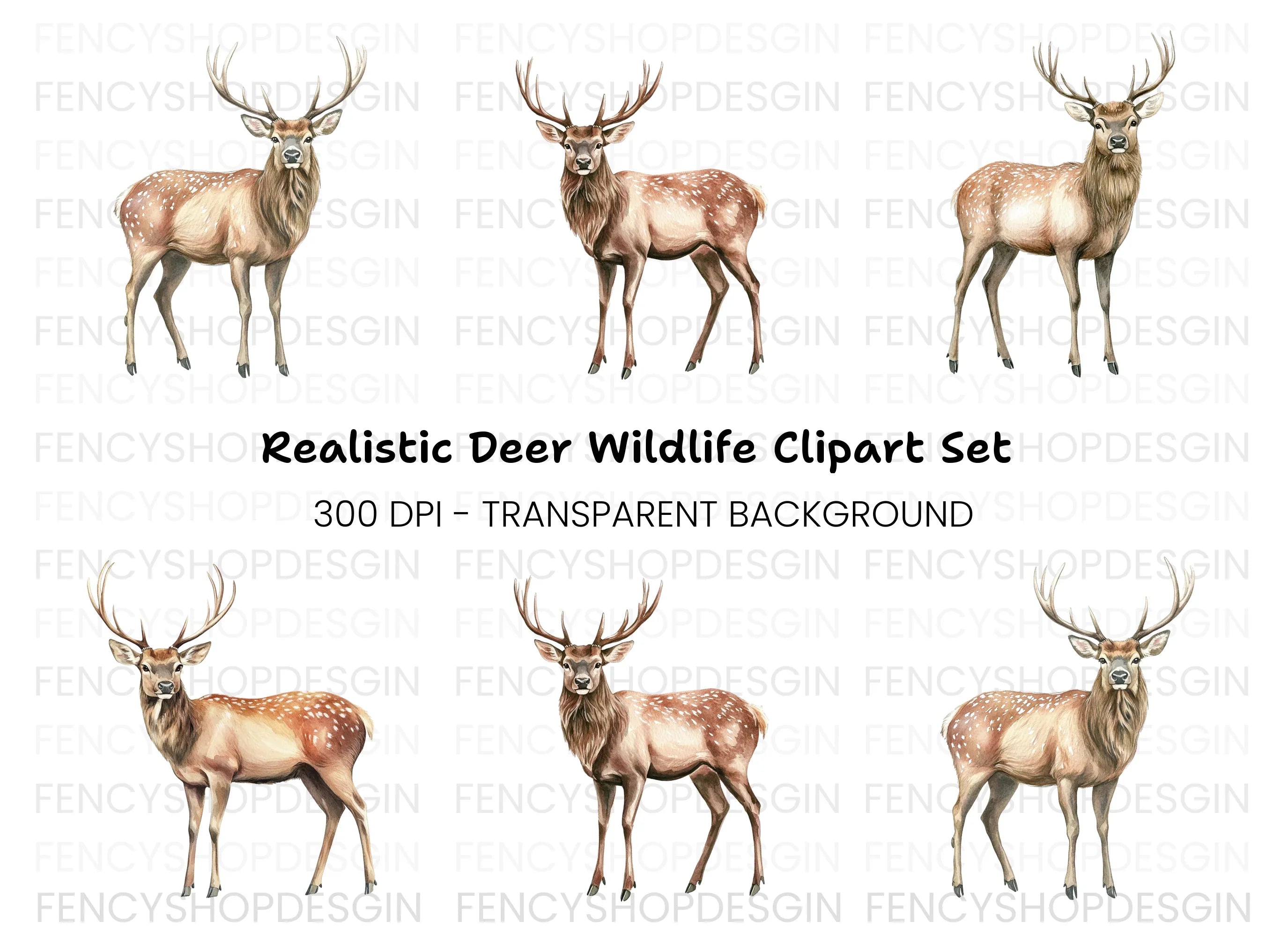 Deer Clipart Bundle