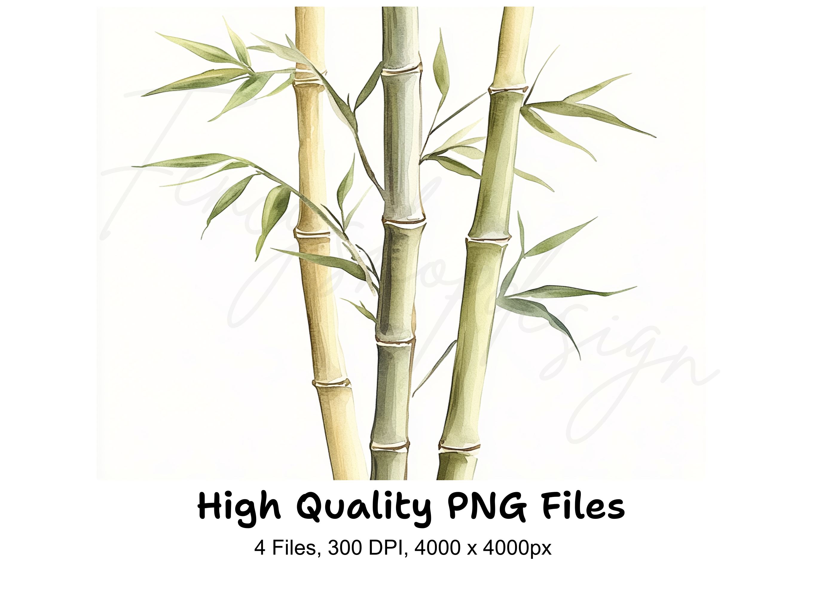 Bamboo Stalks Clipart Bundle