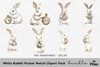 White Rabbit Pocket Watch Clipart Bundle