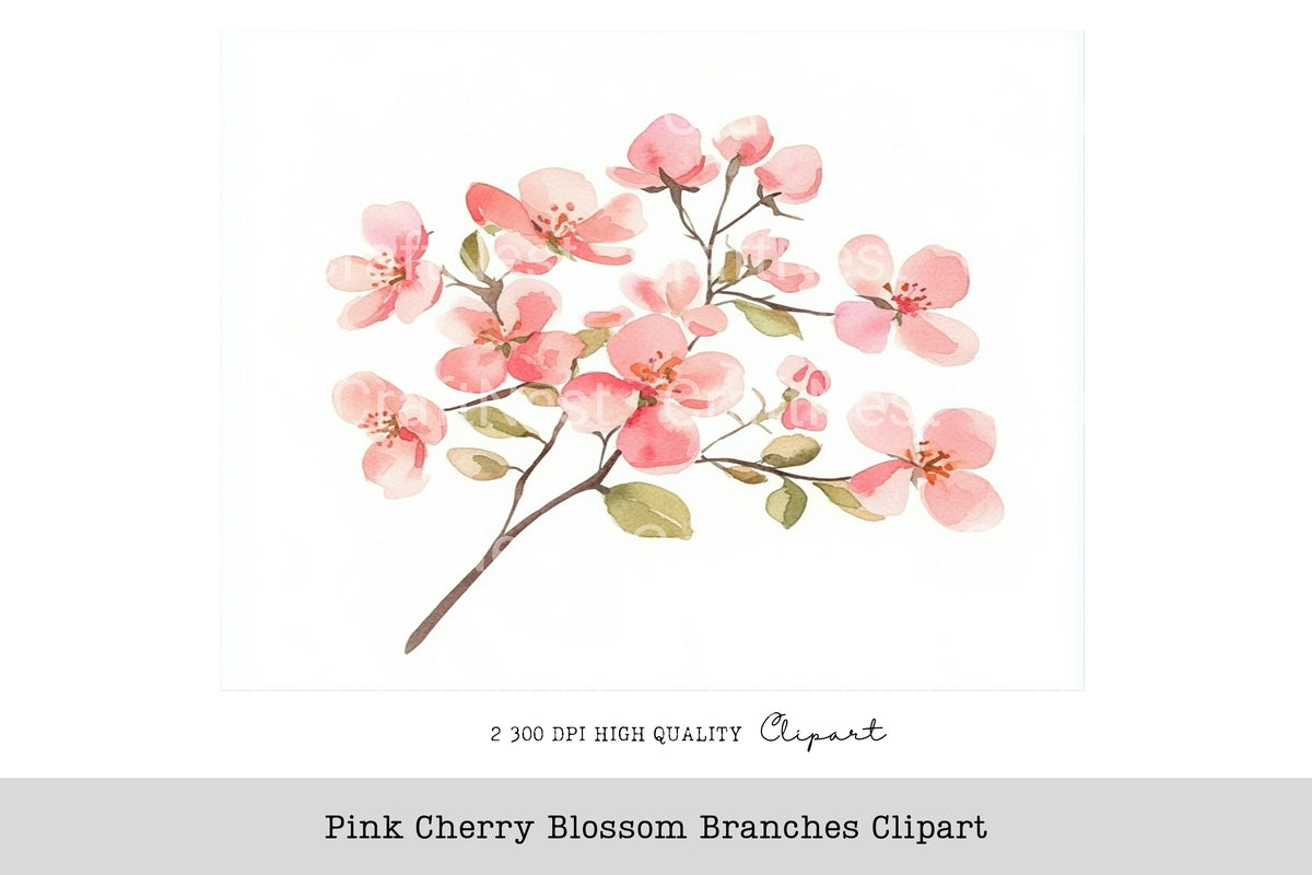 Pink Cherry Blossom Branches Clipart Bundle