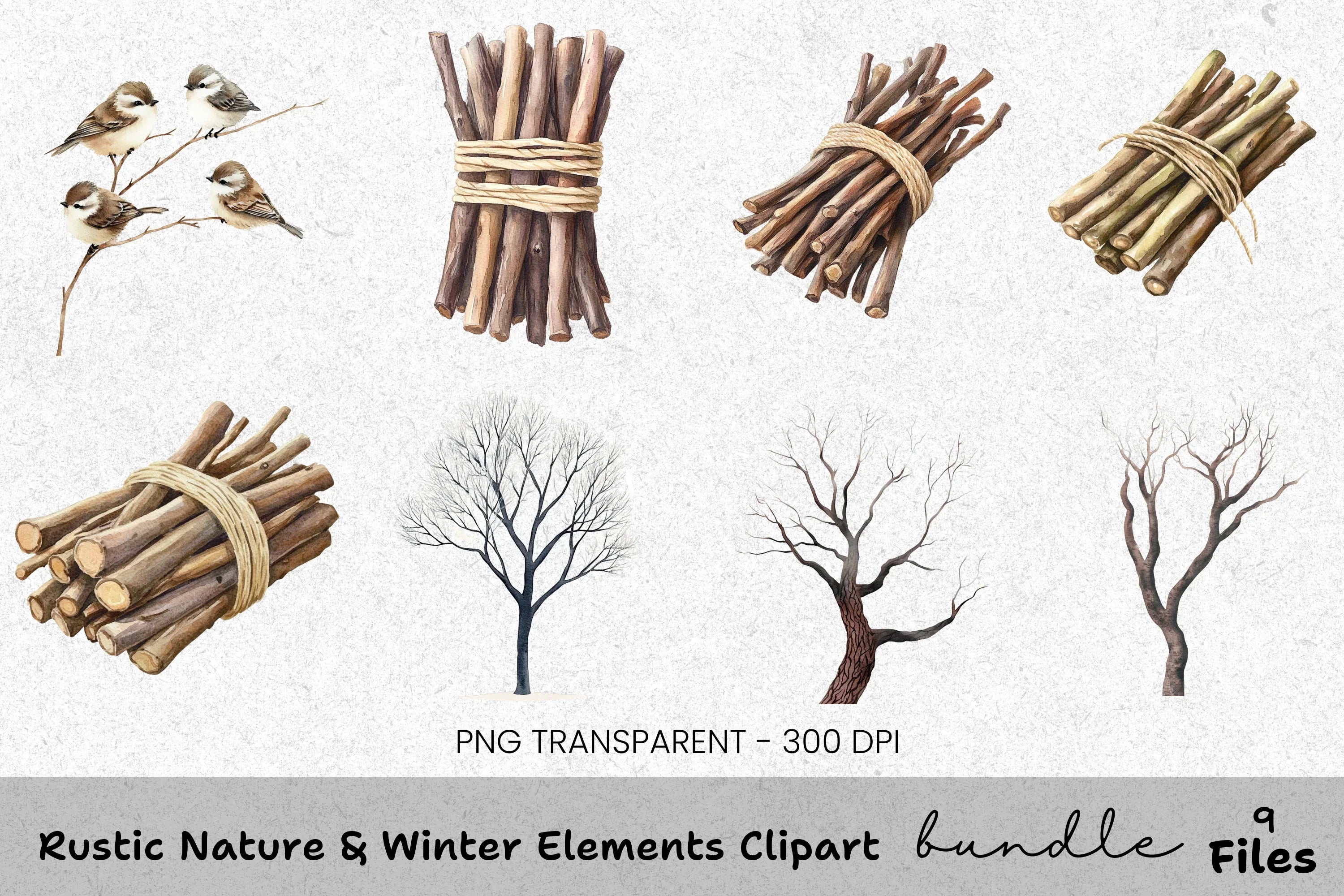 Rustic Nature Winter Elements Clipart Bundle
