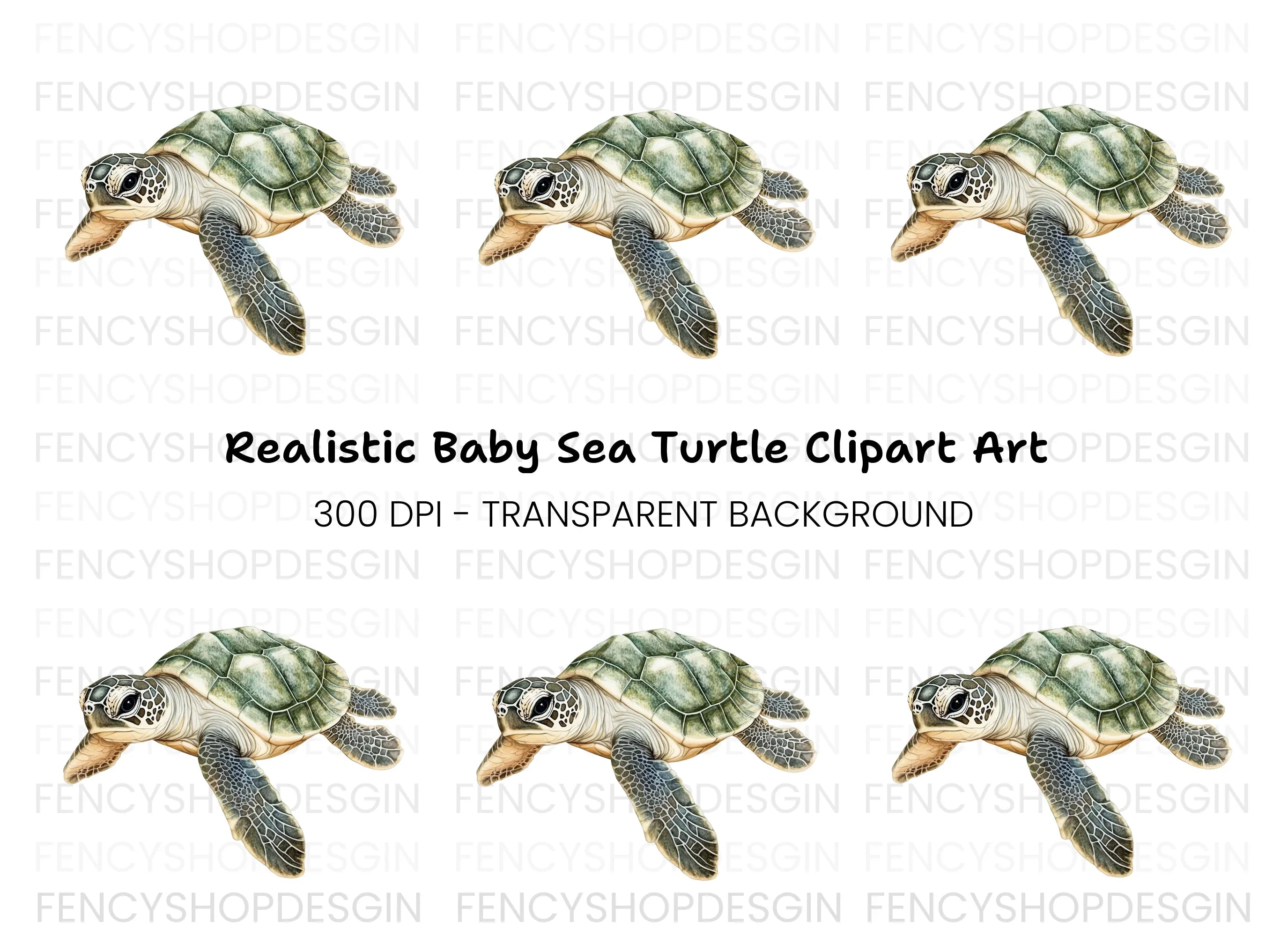 Cute Baby Sea Turtle Clipart Bundle