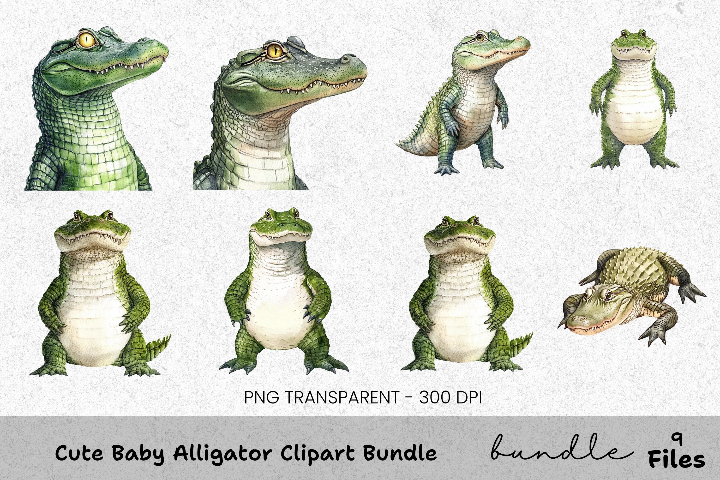 Cute Baby Alligator Clipart Bundle