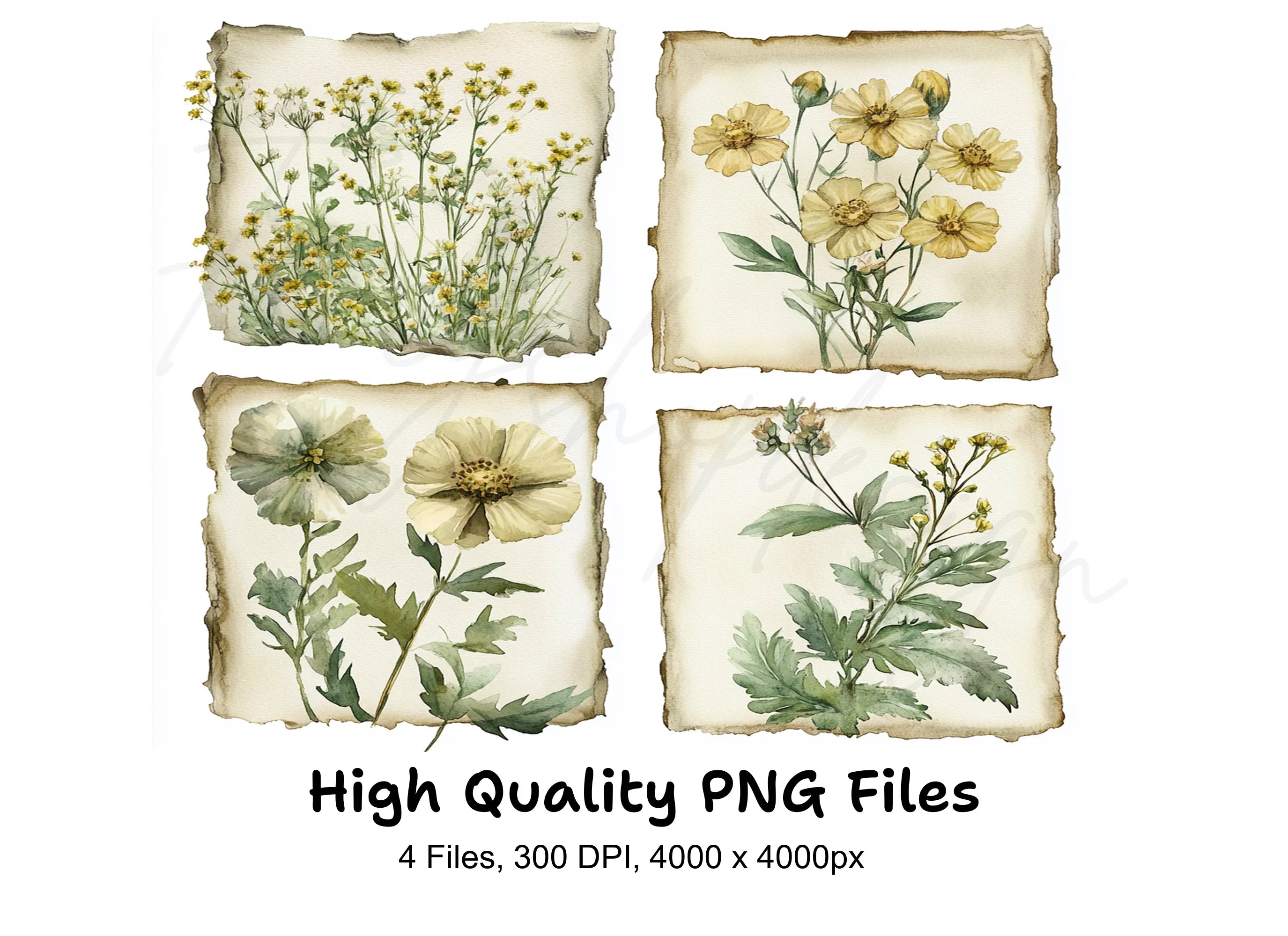 Wildflower Botanical Clipart Bundle