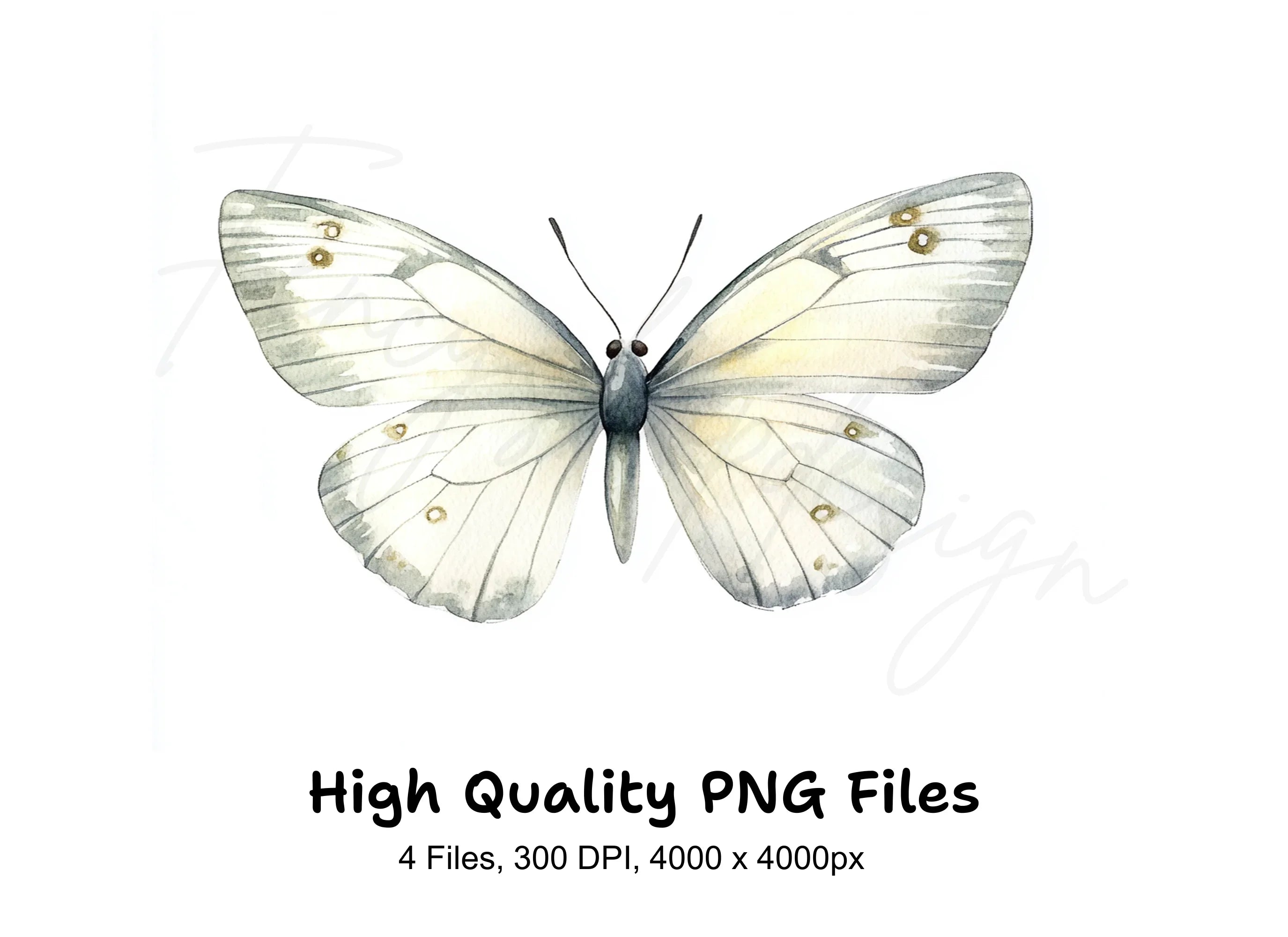 Elegant Butterfly Clipart Bundle