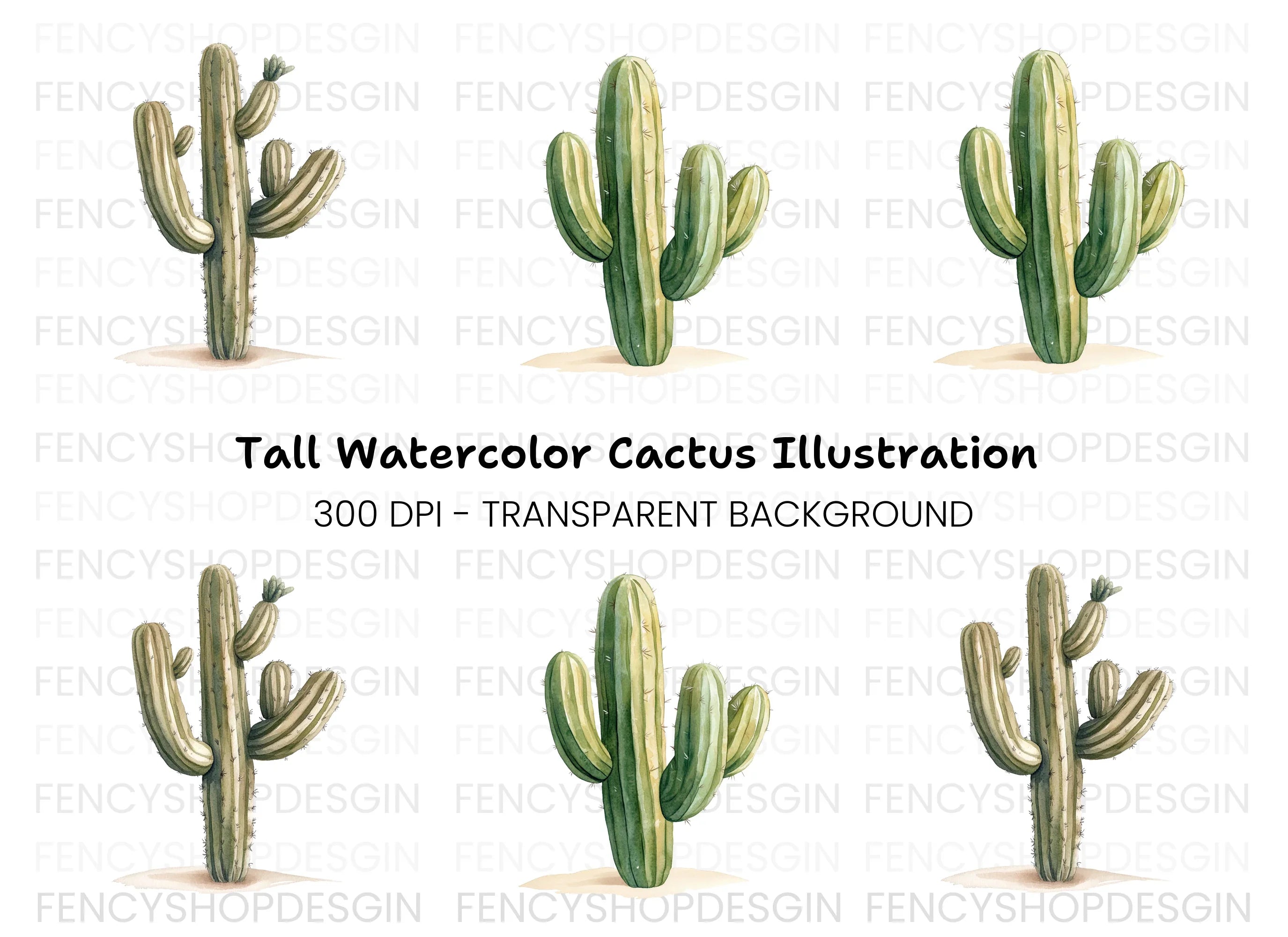 Desert Cactus Illustration Clipart Bundle