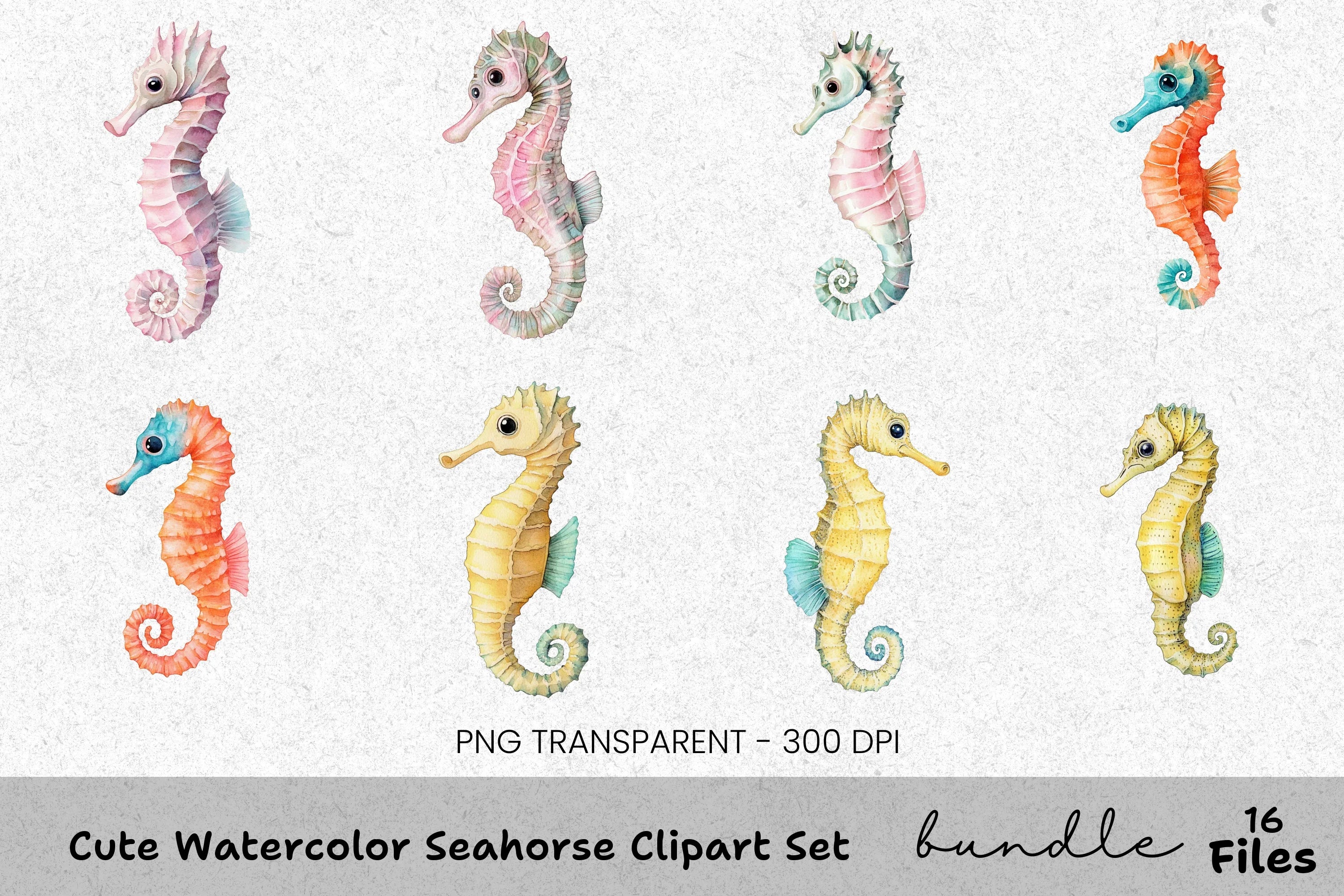 Cute Seahorse Clipart Bundle