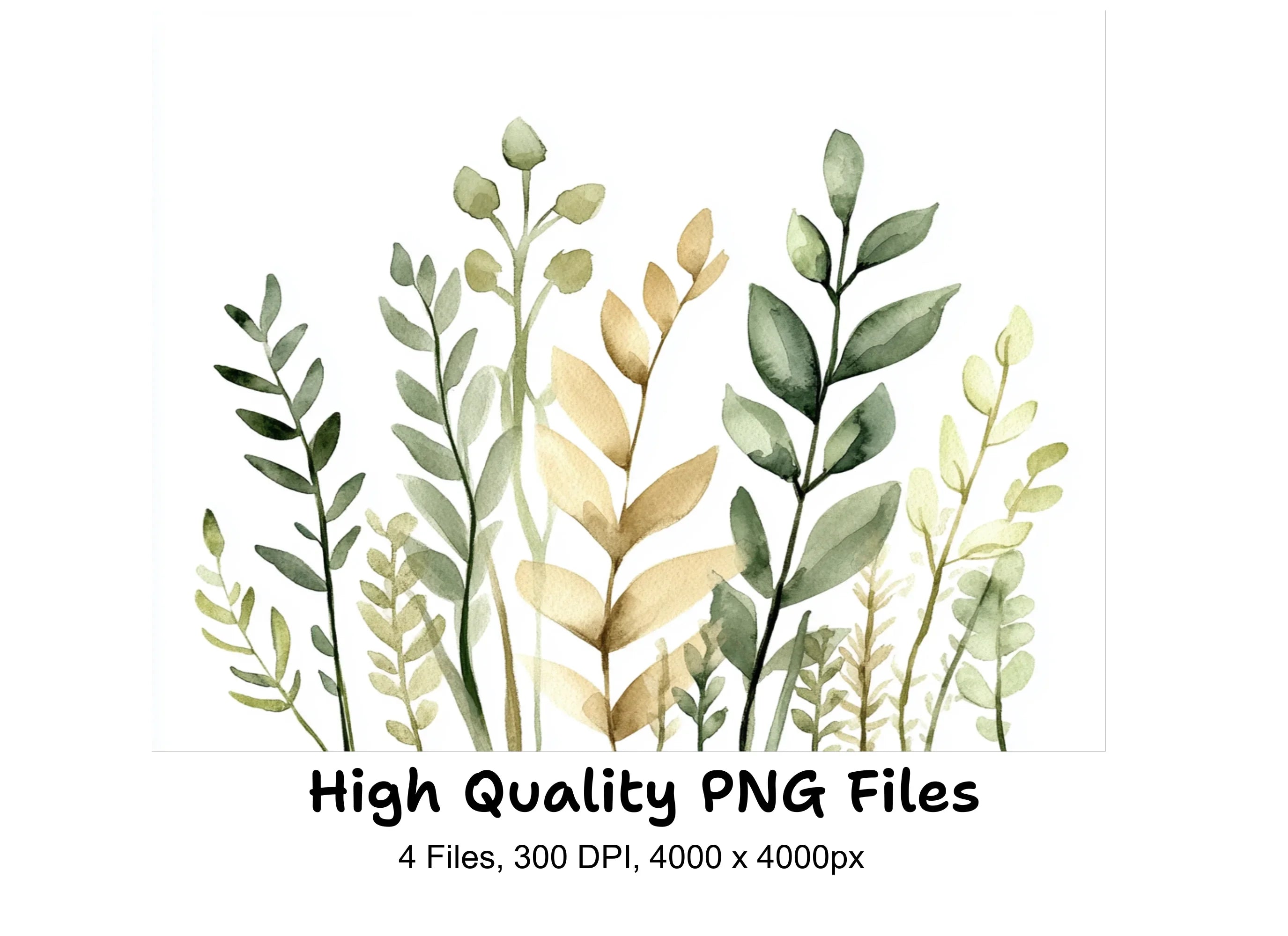 Botanical Clipart Bundle